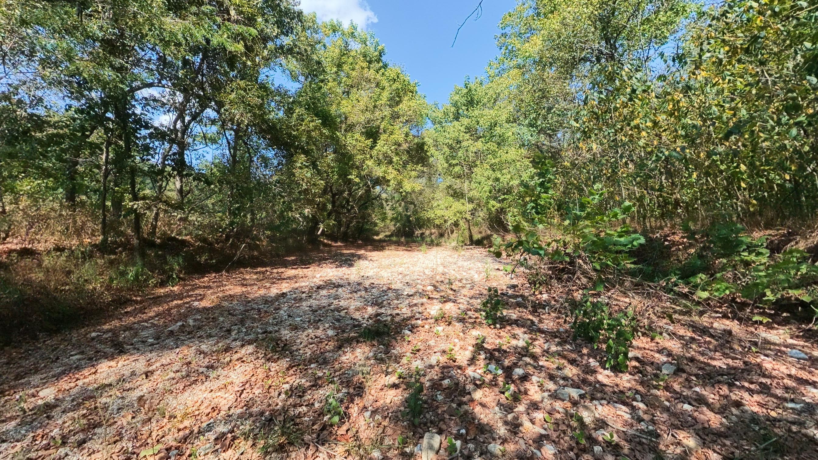 Photo 8 - Farm for sale – 190  Wattle Trail  Drury, MO