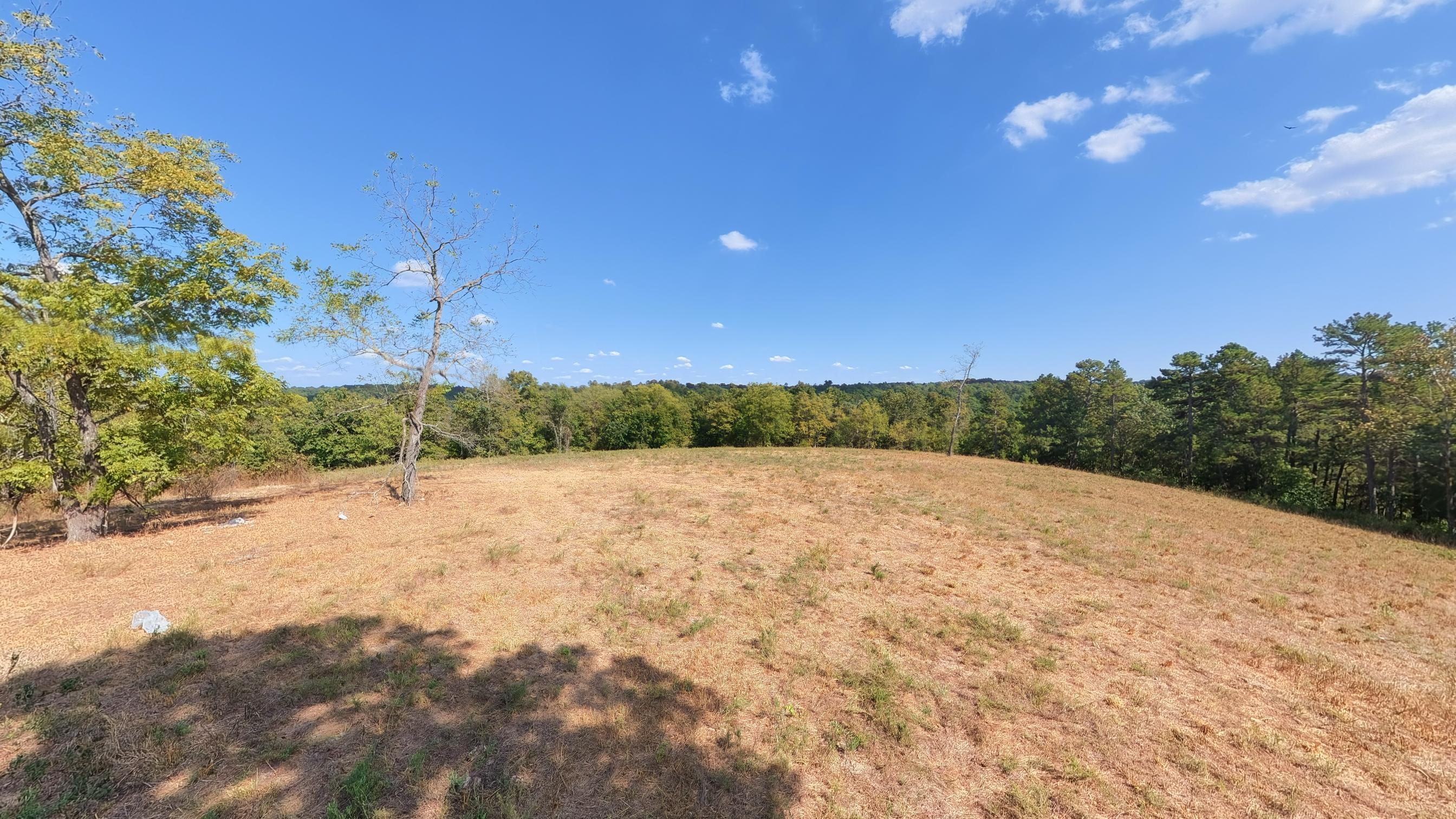 Photo 43 - Farm for sale – 190  Wattle Trail  Drury, MO