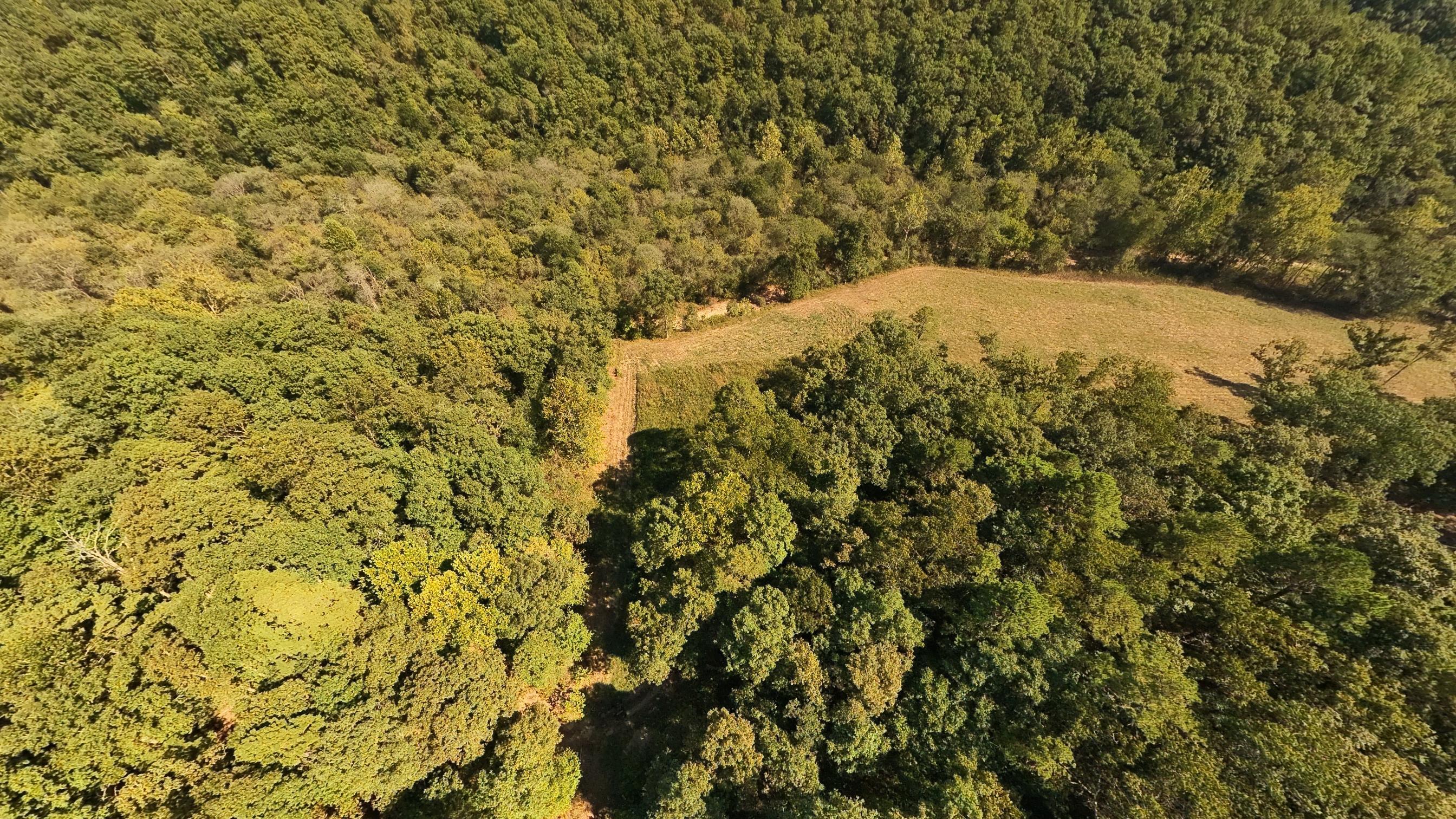 Photo 36 - Farm for sale – 190  Wattle Trail  Drury, MO