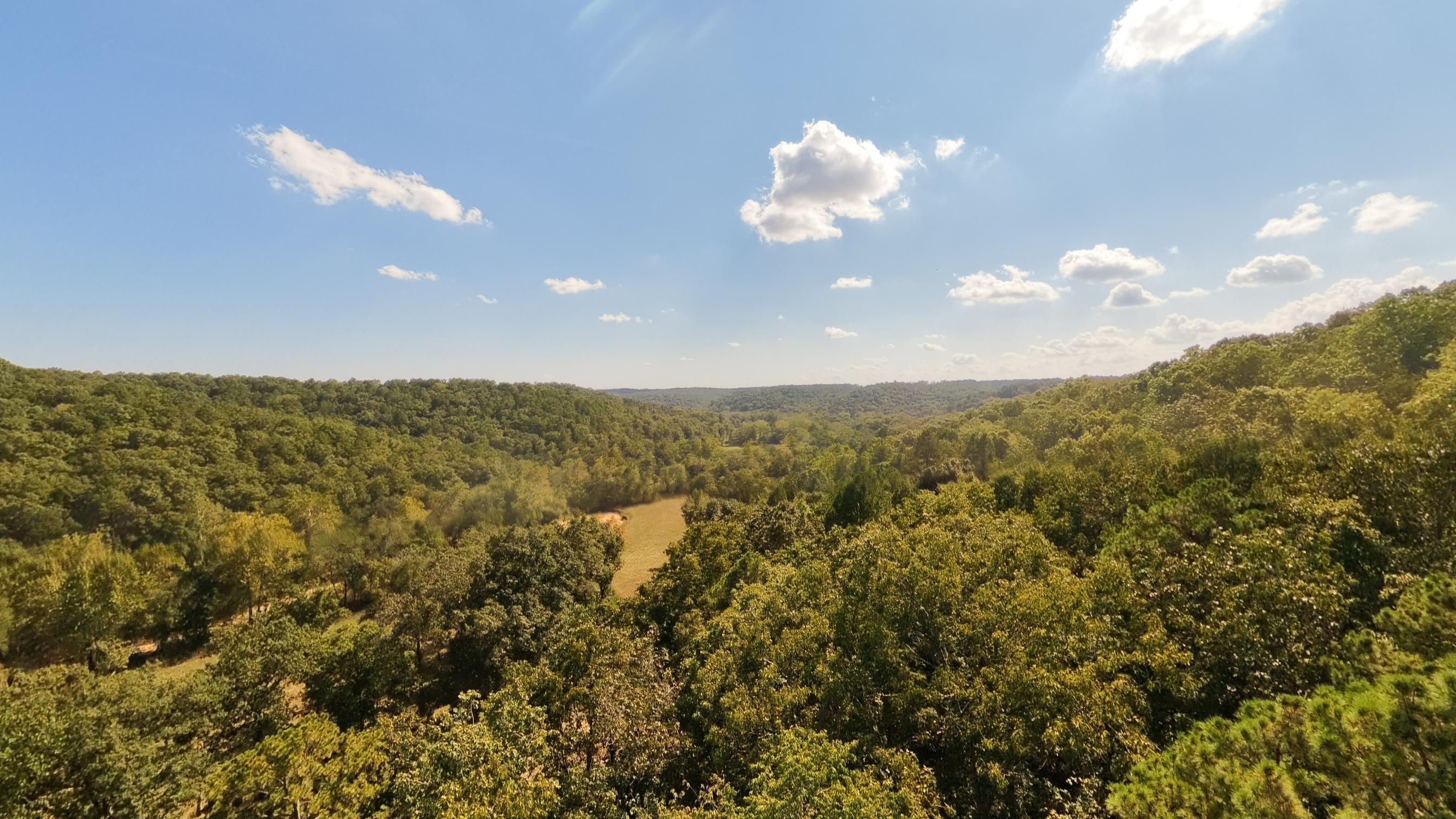 Photo 16 - Farm for sale – 190  Wattle Trail  Drury, MO