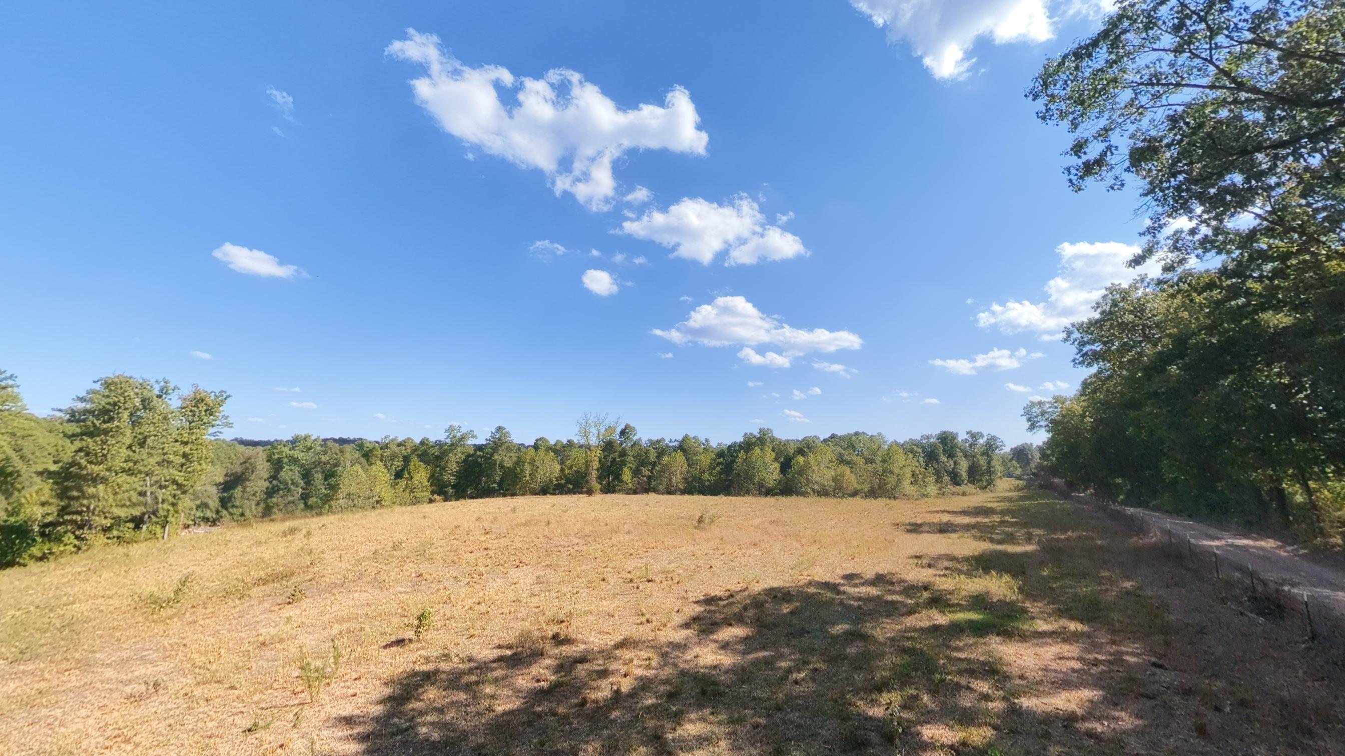 Photo 47 - Farm for sale – 190  Wattle Trail  Drury, MO