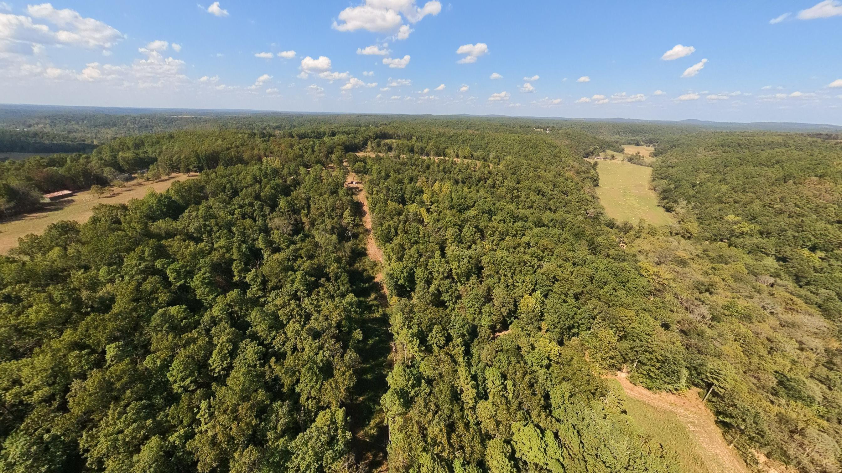 Photo 39 - Farm for sale – 190  Wattle Trail  Drury, MO