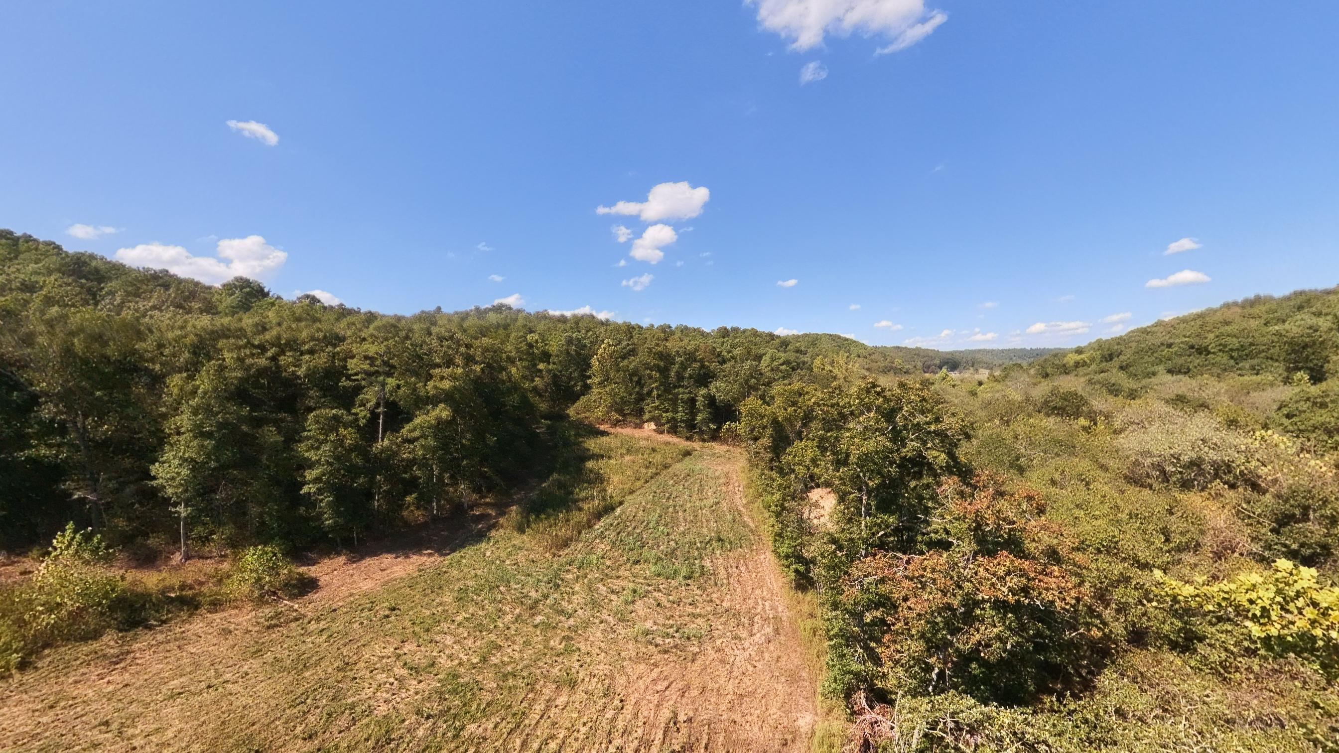 Photo 10 - Farm for sale – 190  Wattle Trail  Drury, MO