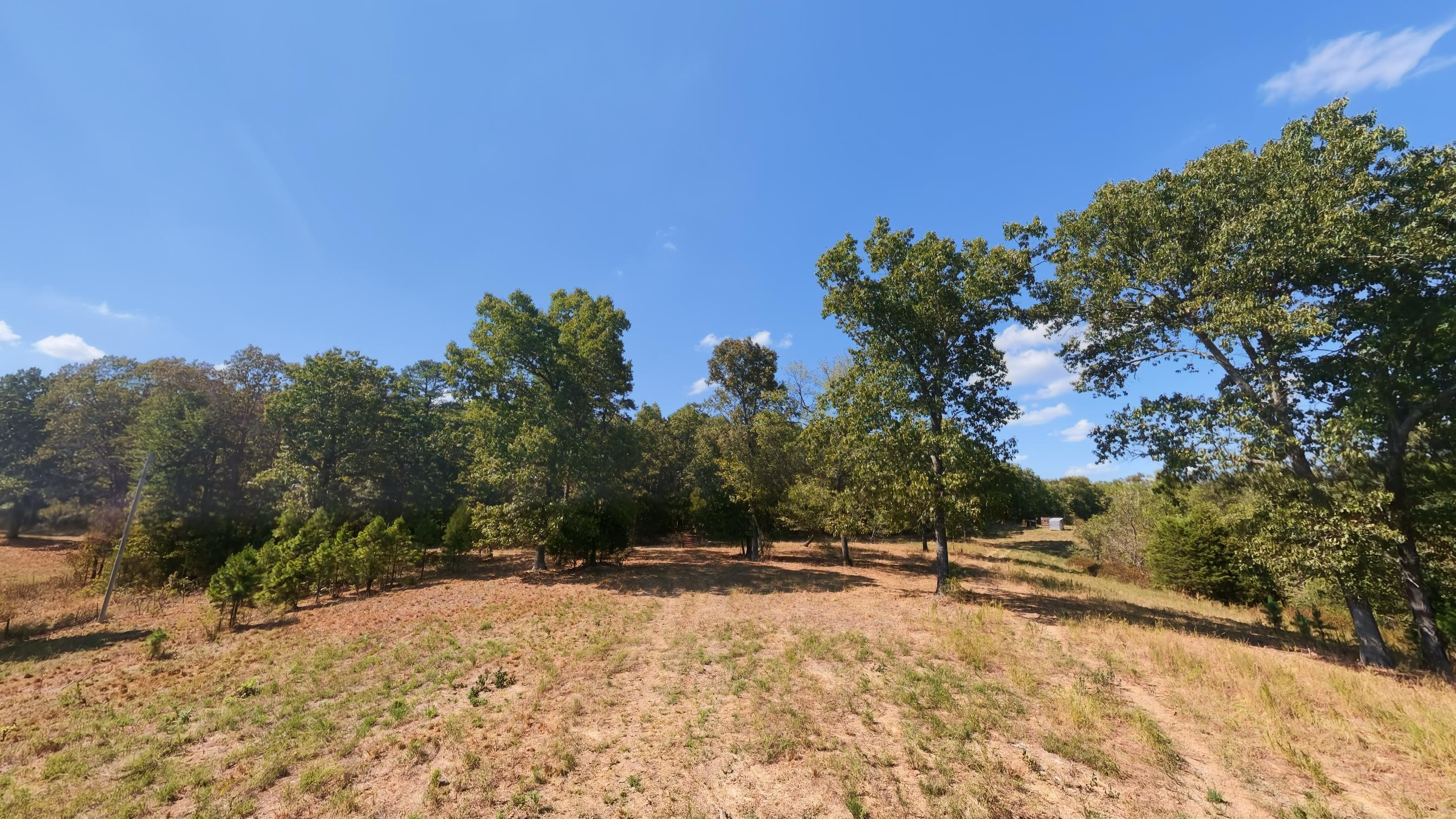Photo 26 - Farm for sale – 190  Wattle Trail  Drury, MO