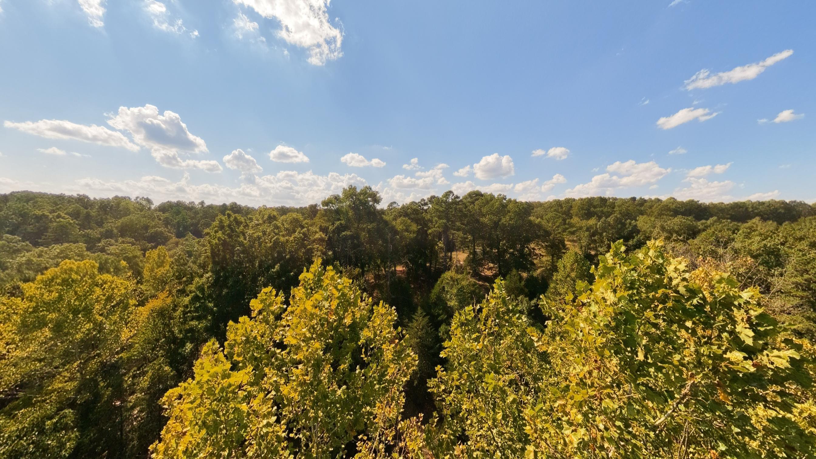 Photo 34 - Farm for sale – 190  Wattle Trail  Drury, MO