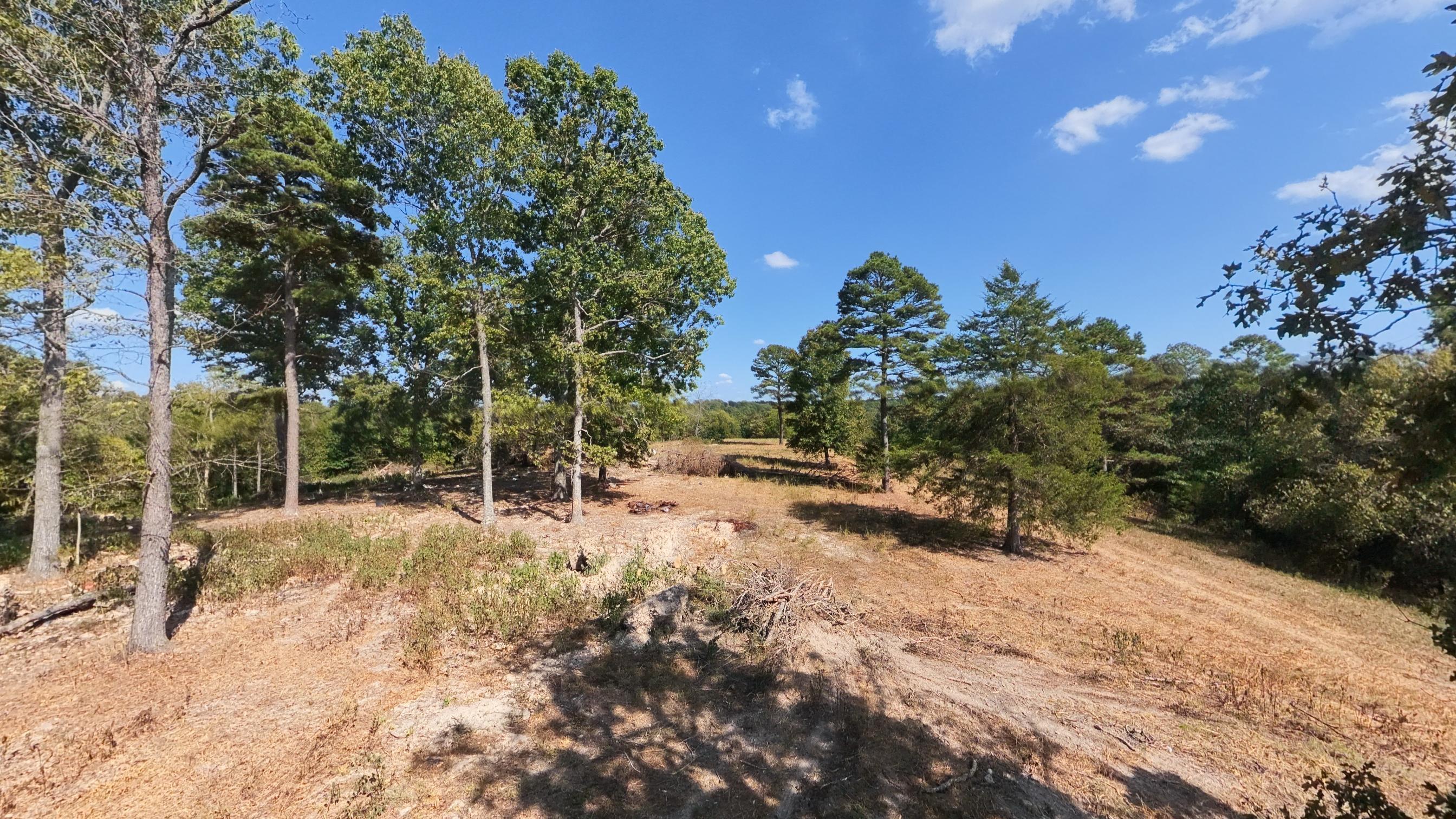 Photo 40 - Farm for sale – 190  Wattle Trail  Drury, MO