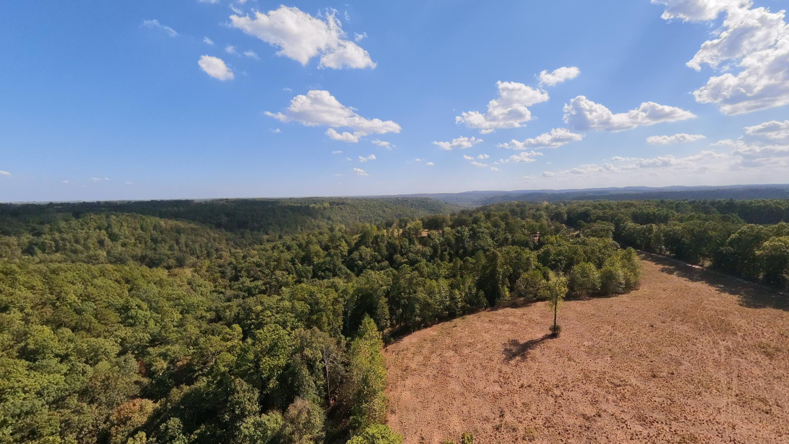 Photo 49 - Farm for sale – 190  Wattle Trail  Drury, MO