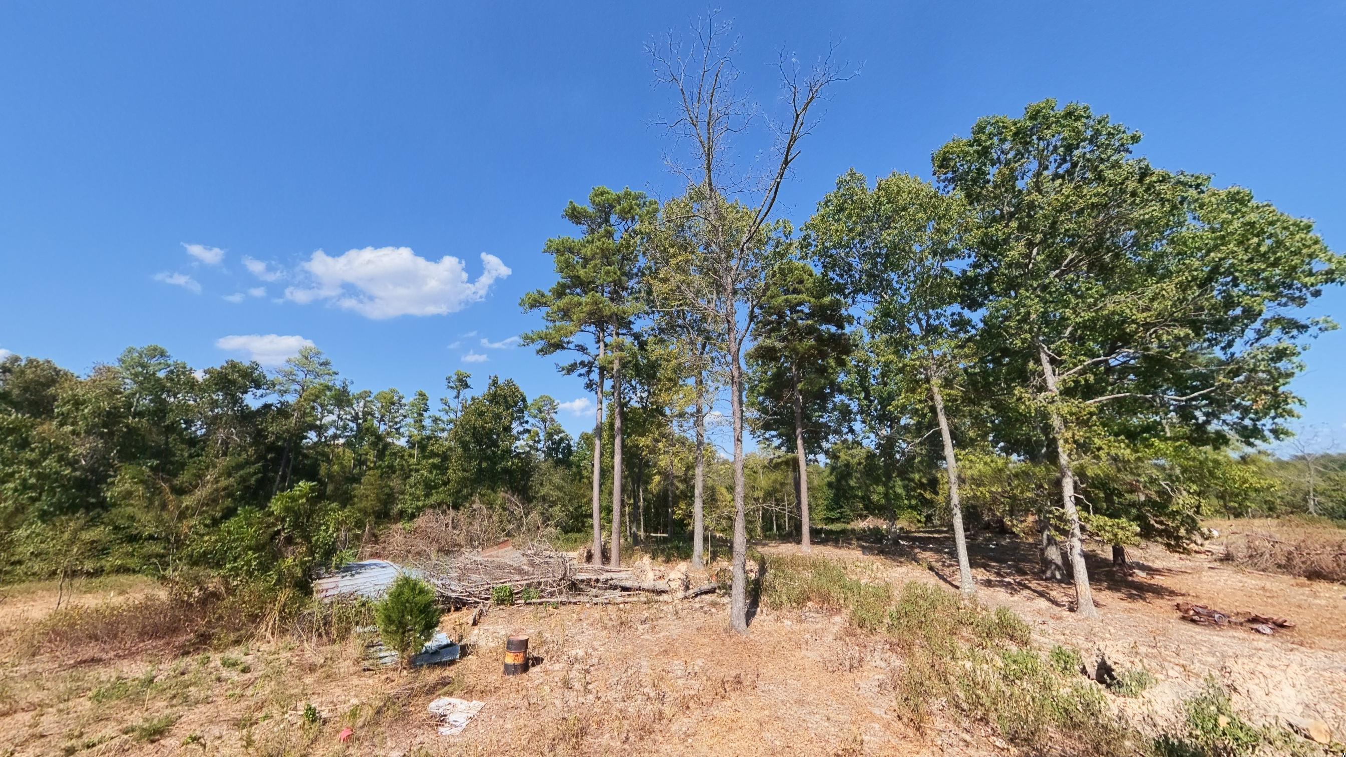 Photo 42 - Farm for sale – 190  Wattle Trail  Drury, MO