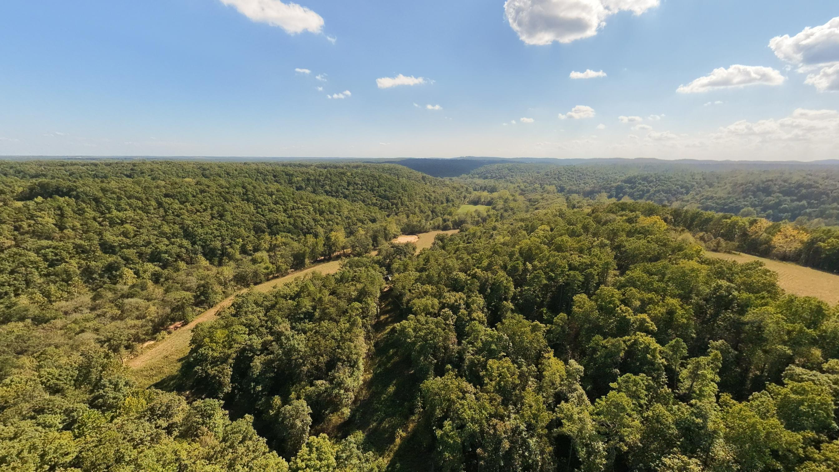 Photo 19 - Farm for sale – 190  Wattle Trail  Drury, MO