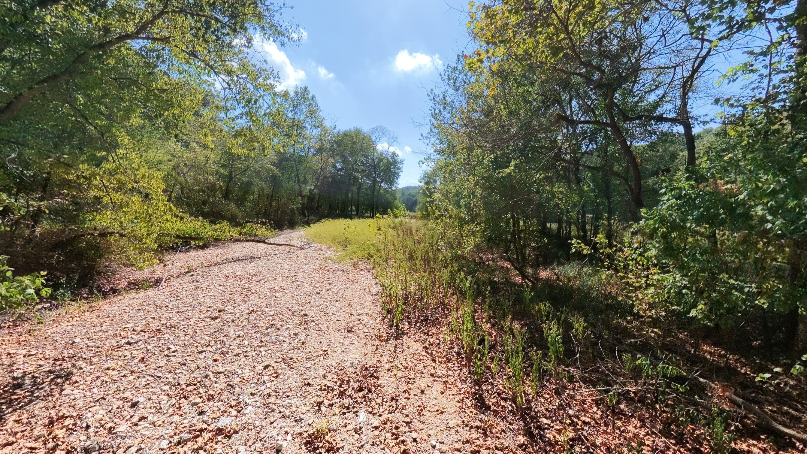 Photo 7 - Farm for sale – 190  Wattle Trail  Drury, MO