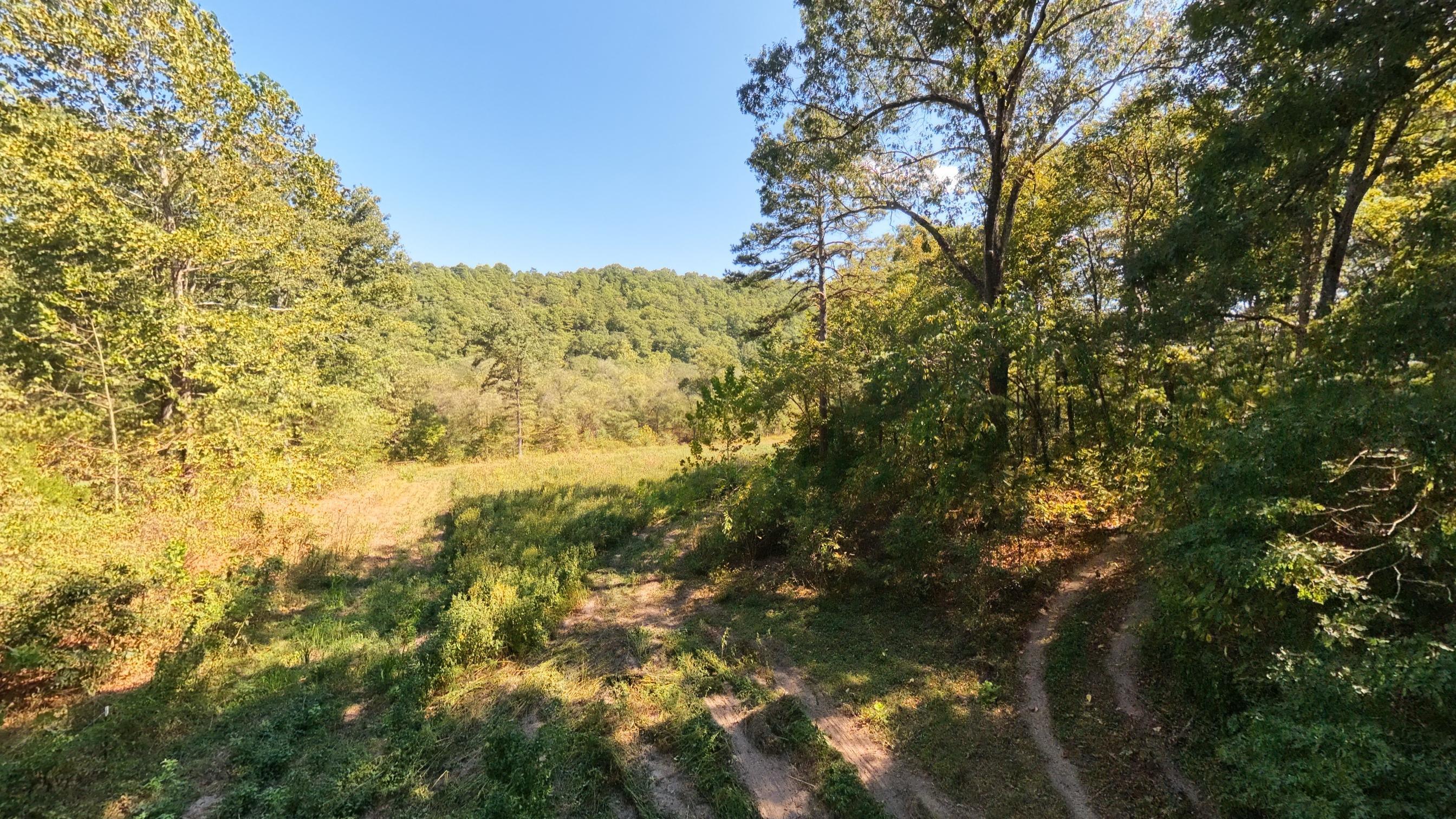 Photo 15 - Farm for sale – 190  Wattle Trail  Drury, MO