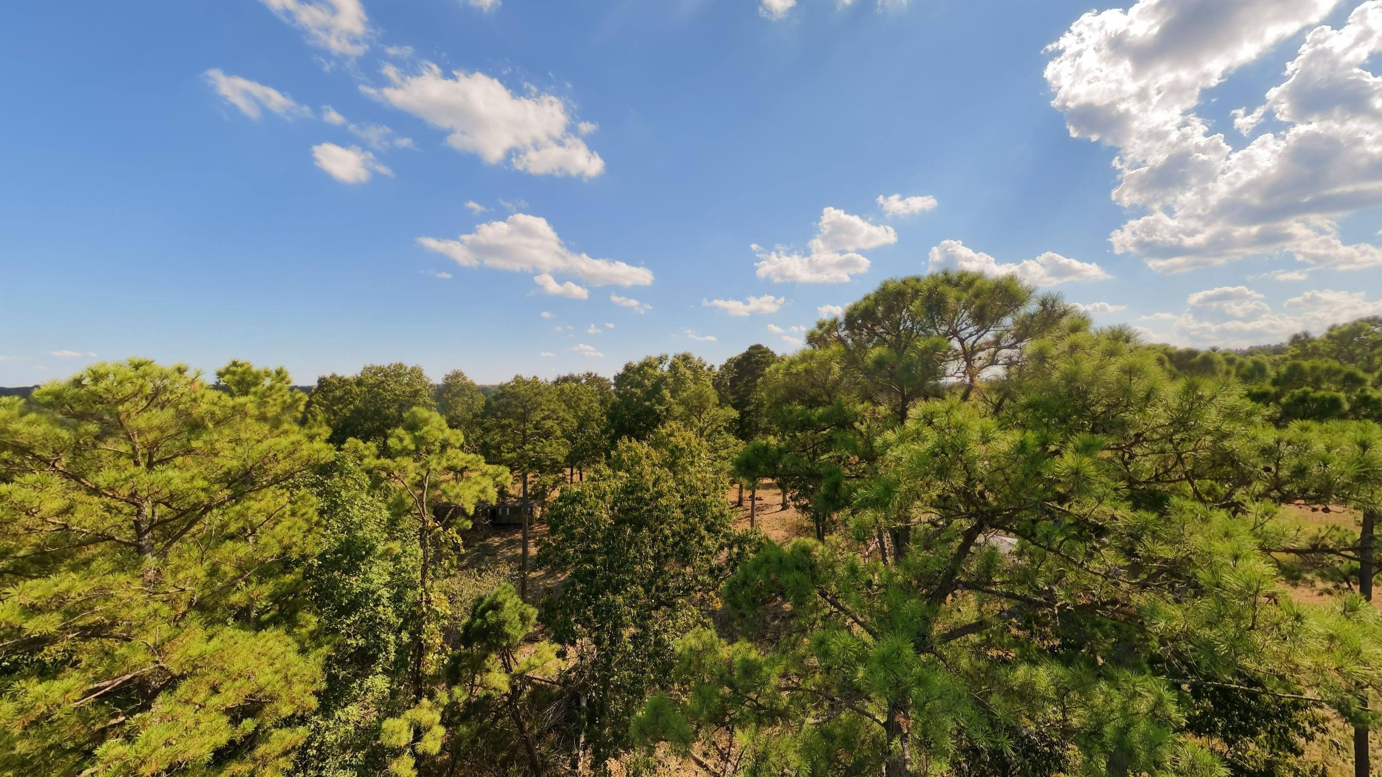 Photo 45 - Farm for sale – 190  Wattle Trail  Drury, MO