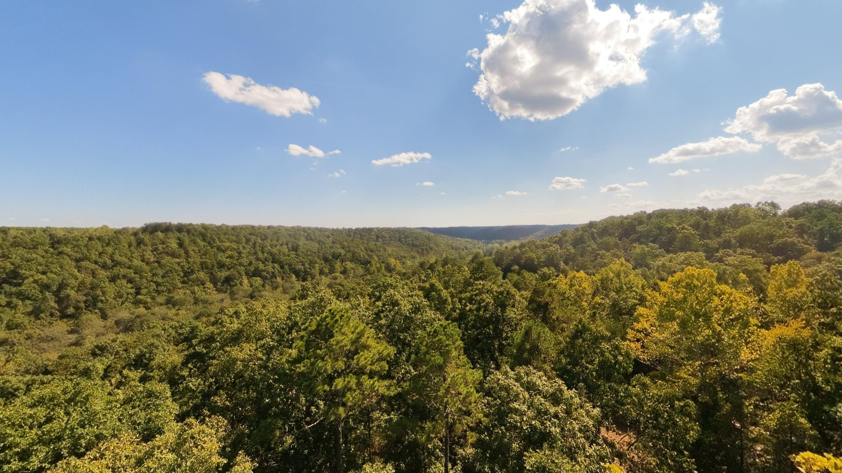 Photo 31 - Farm for sale – 190  Wattle Trail  Drury, MO