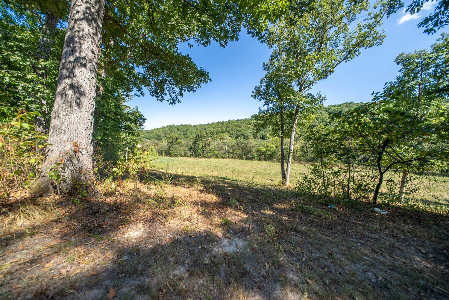 Photo 5 - Farm for sale – 190  Wattle Trail  Drury, MO
