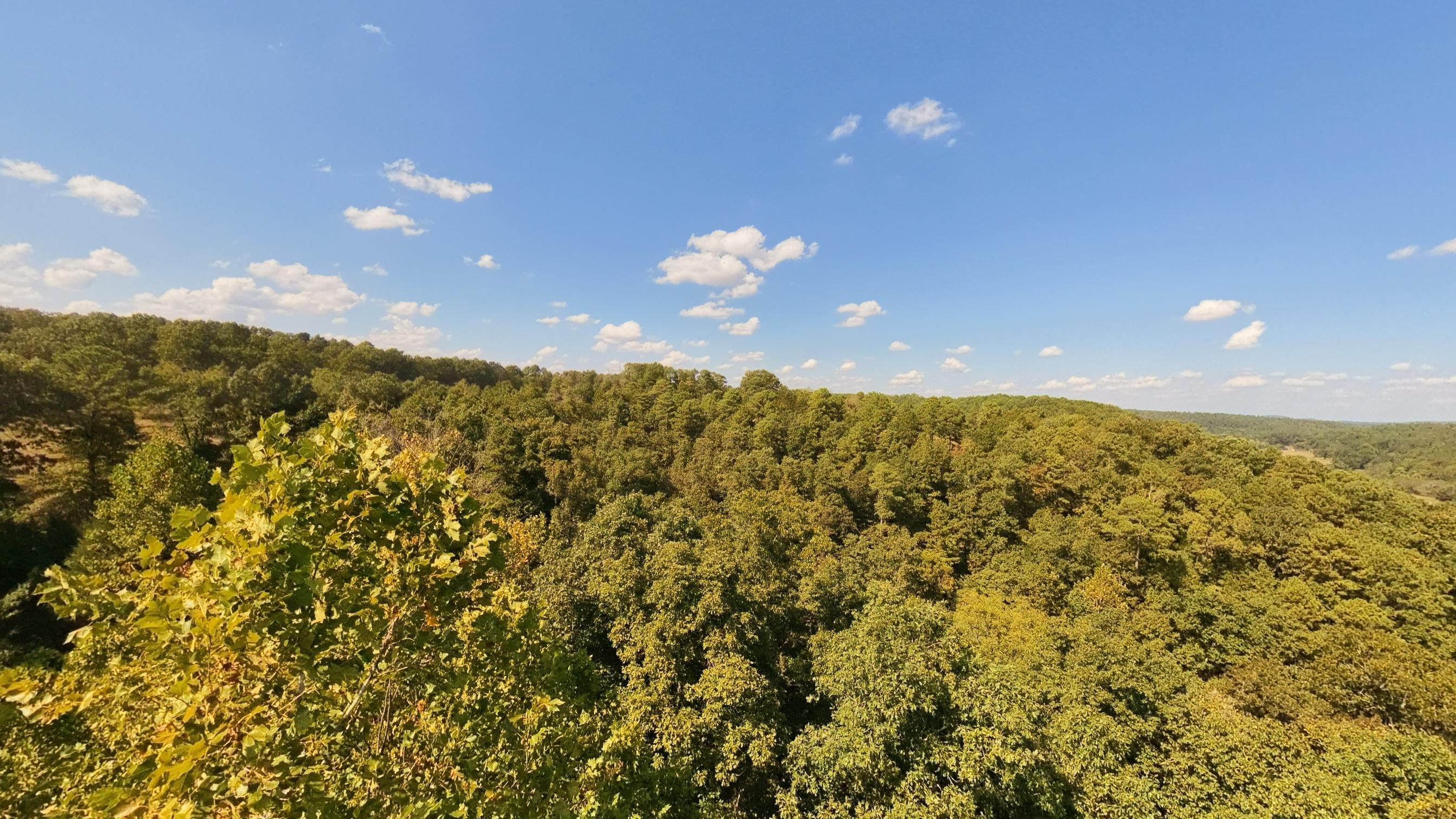 Photo 33 - Farm for sale – 190  Wattle Trail  Drury, MO