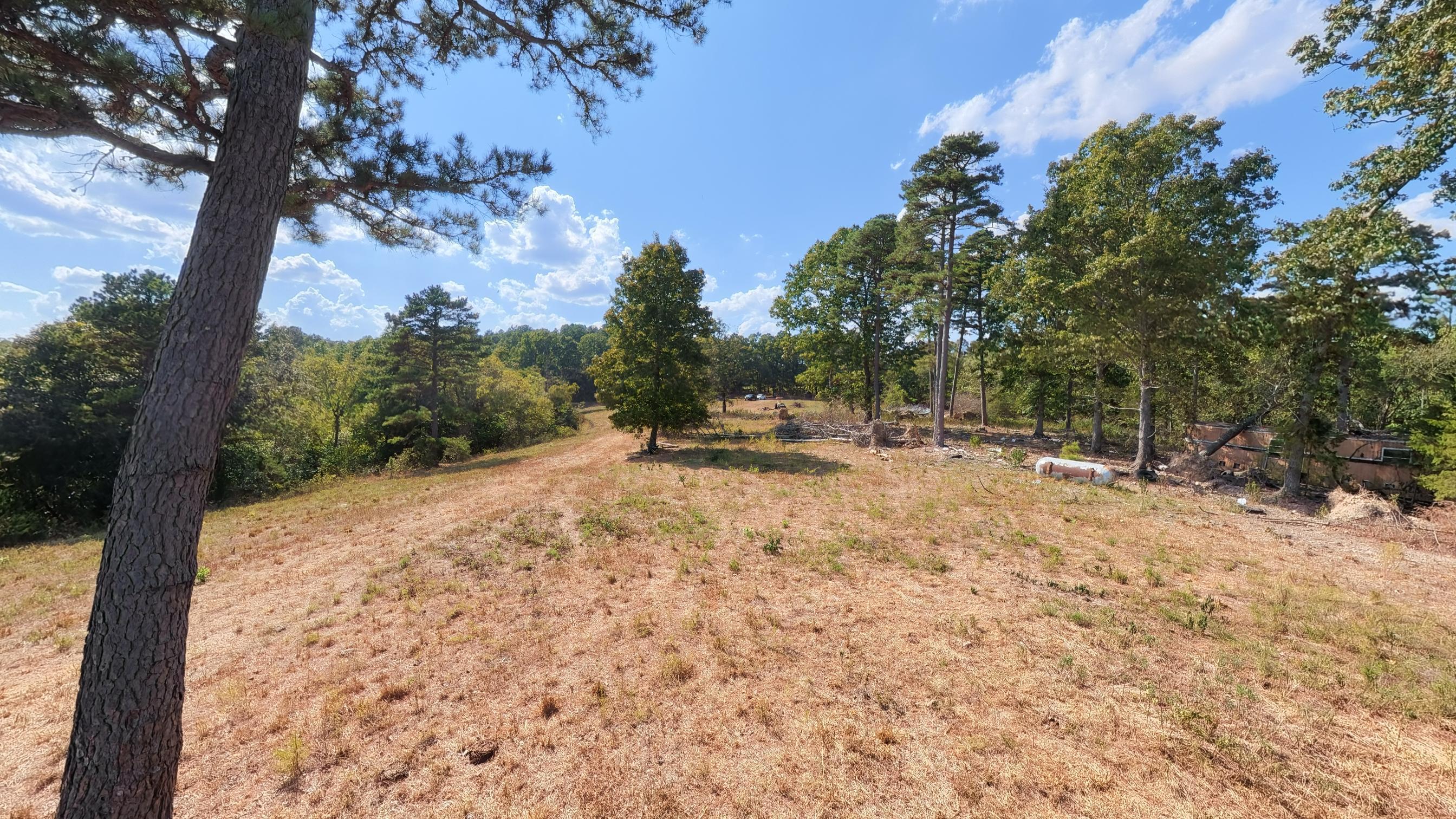 Photo 44 - Farm for sale – 190  Wattle Trail  Drury, MO