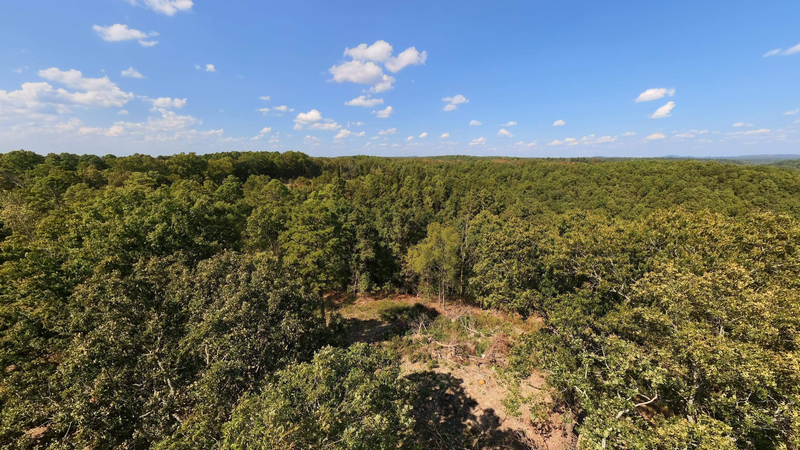Photo 30 - Farm for sale – 190  Wattle Trail  Drury, MO