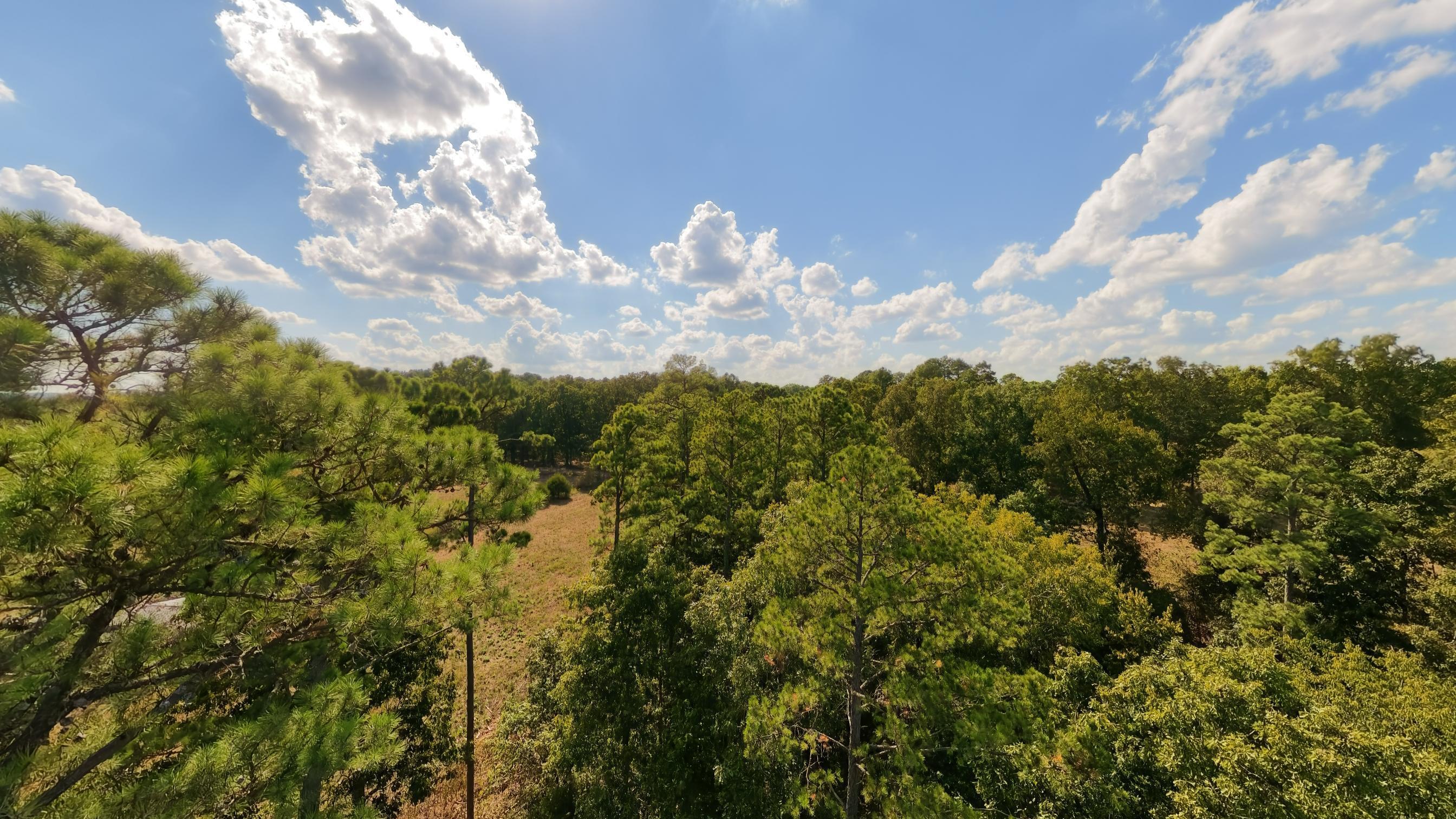 Photo 46 - Farm for sale – 190  Wattle Trail  Drury, MO