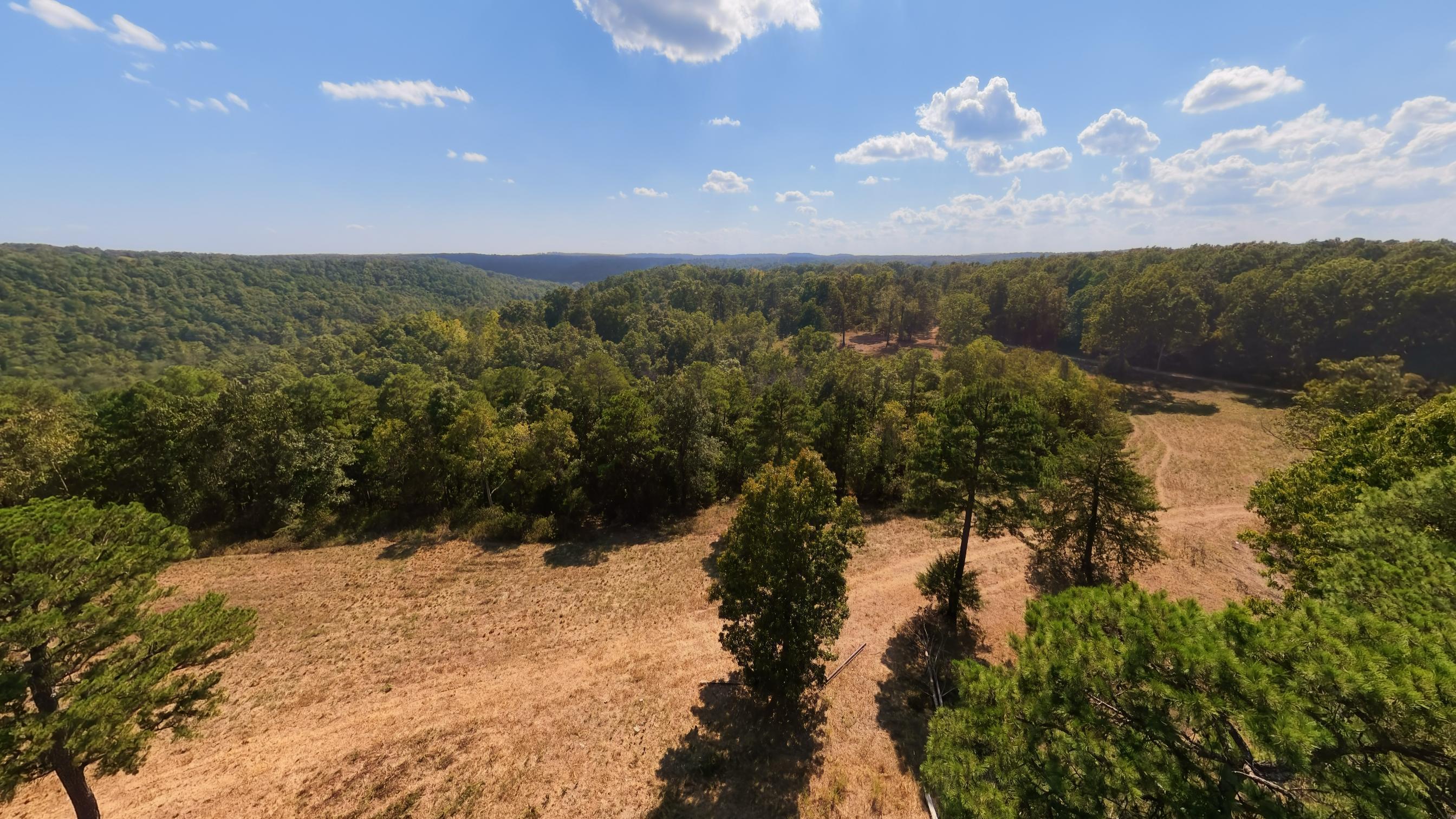 Photo 29 - Farm for sale – 190  Wattle Trail  Drury, MO