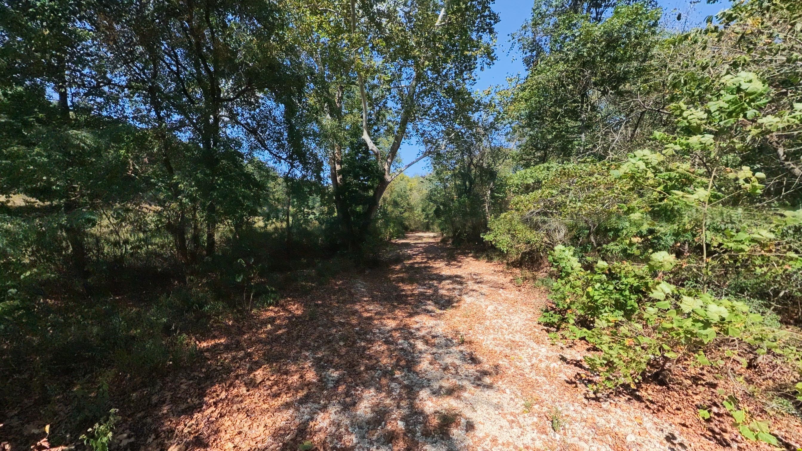 Photo 6 - Farm for sale – 190  Wattle Trail  Drury, MO