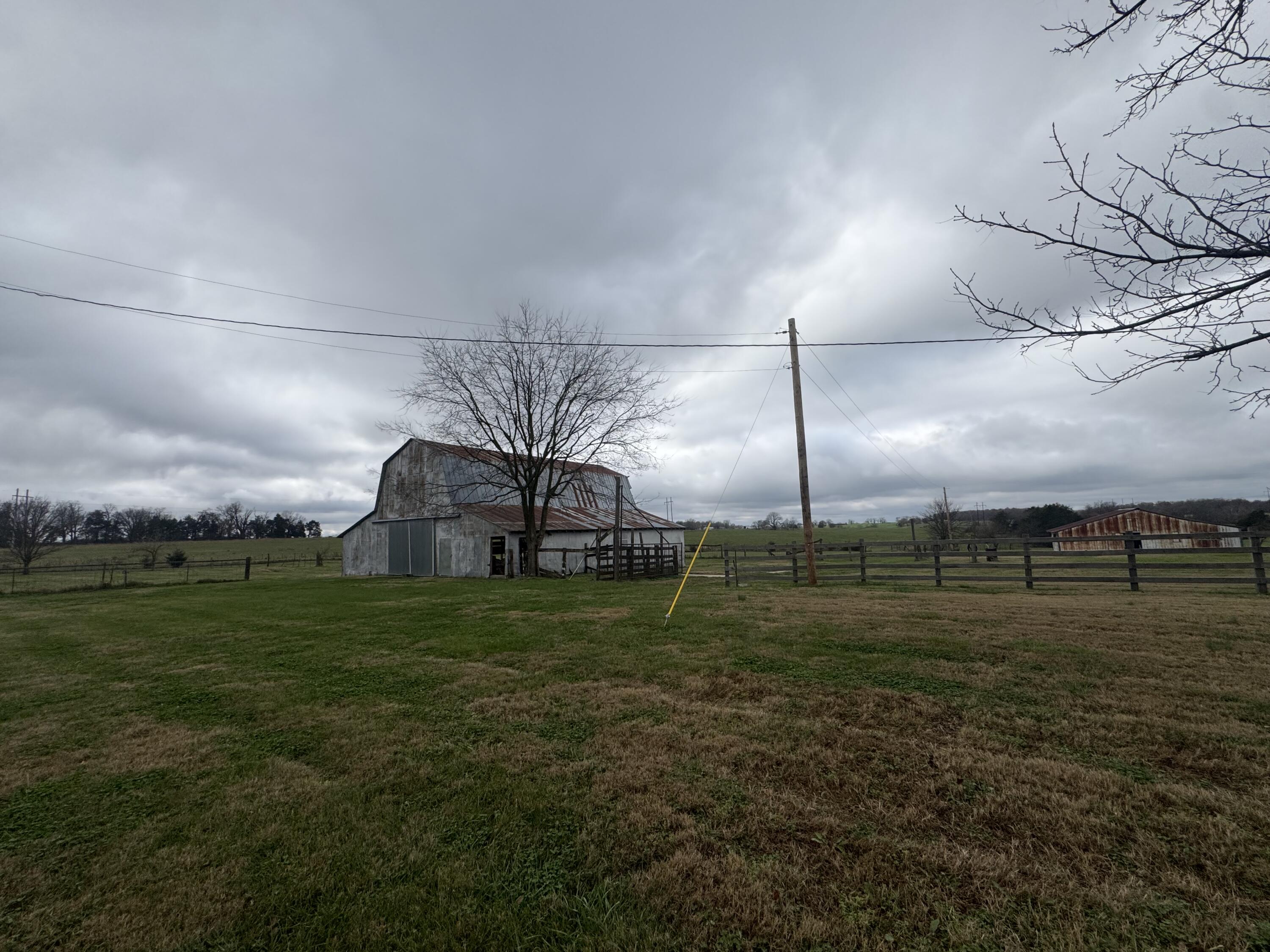 Photo 2 - Land for sale – 19370  Urchin Tract 2   Stella, MO