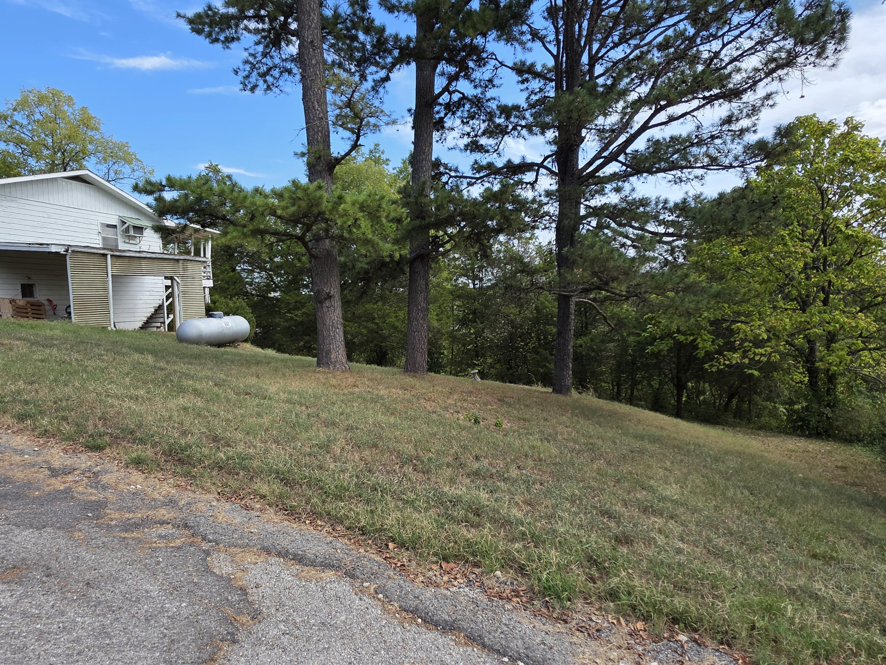 Photo 5 - Residential for sale – 317 S 2nd Street  Thayer, MO