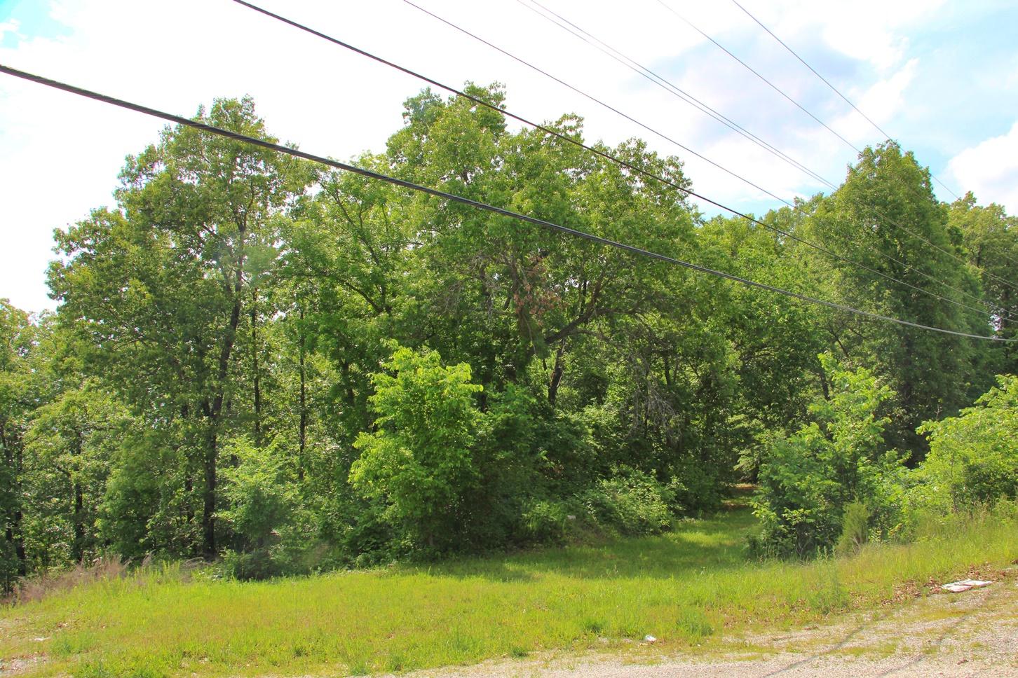 Photo 4 - Land for sale – 2291-1a  State Highway 265   Branson, MO