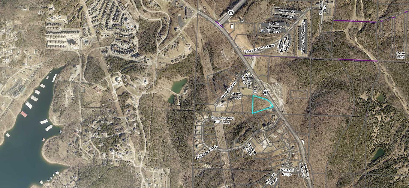 Photo 5 - Land for sale – 2291-1a  State Highway 265   Branson, MO
