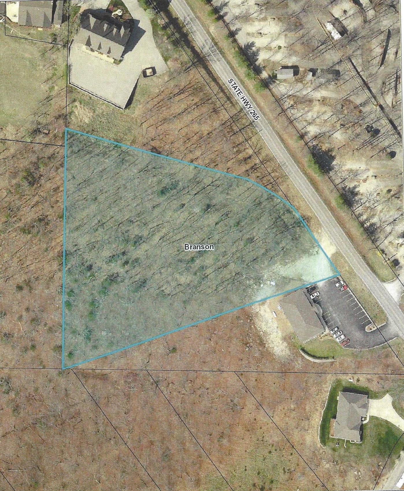 Photo 2 - Land for sale – 2291-1a  State Highway 265   Branson, MO