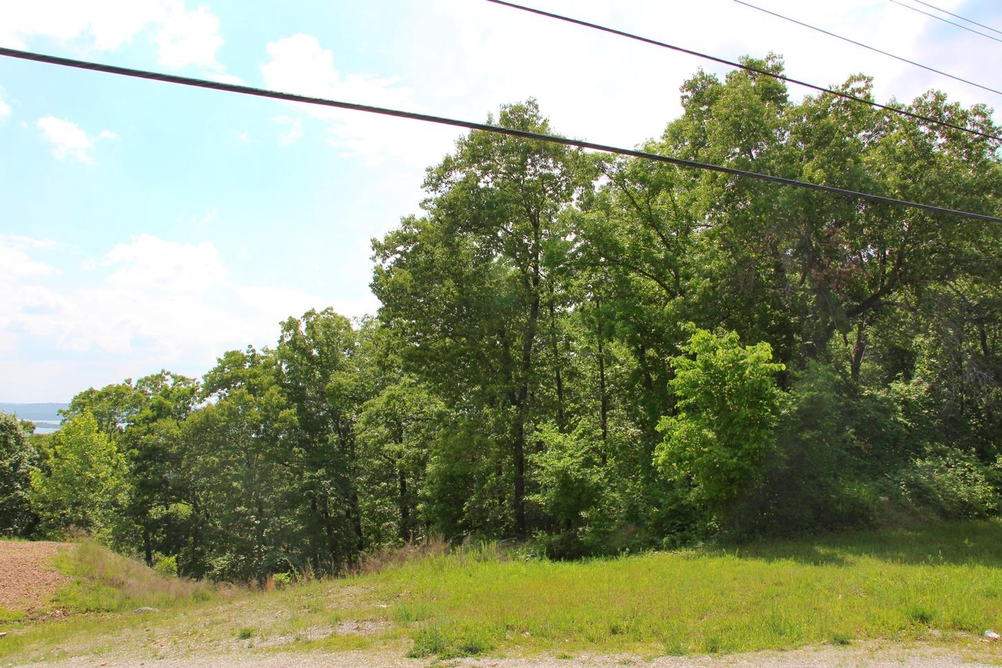 Photo 3 - Land for sale – 2291 -2a  State Hwy 265   Branson, MO