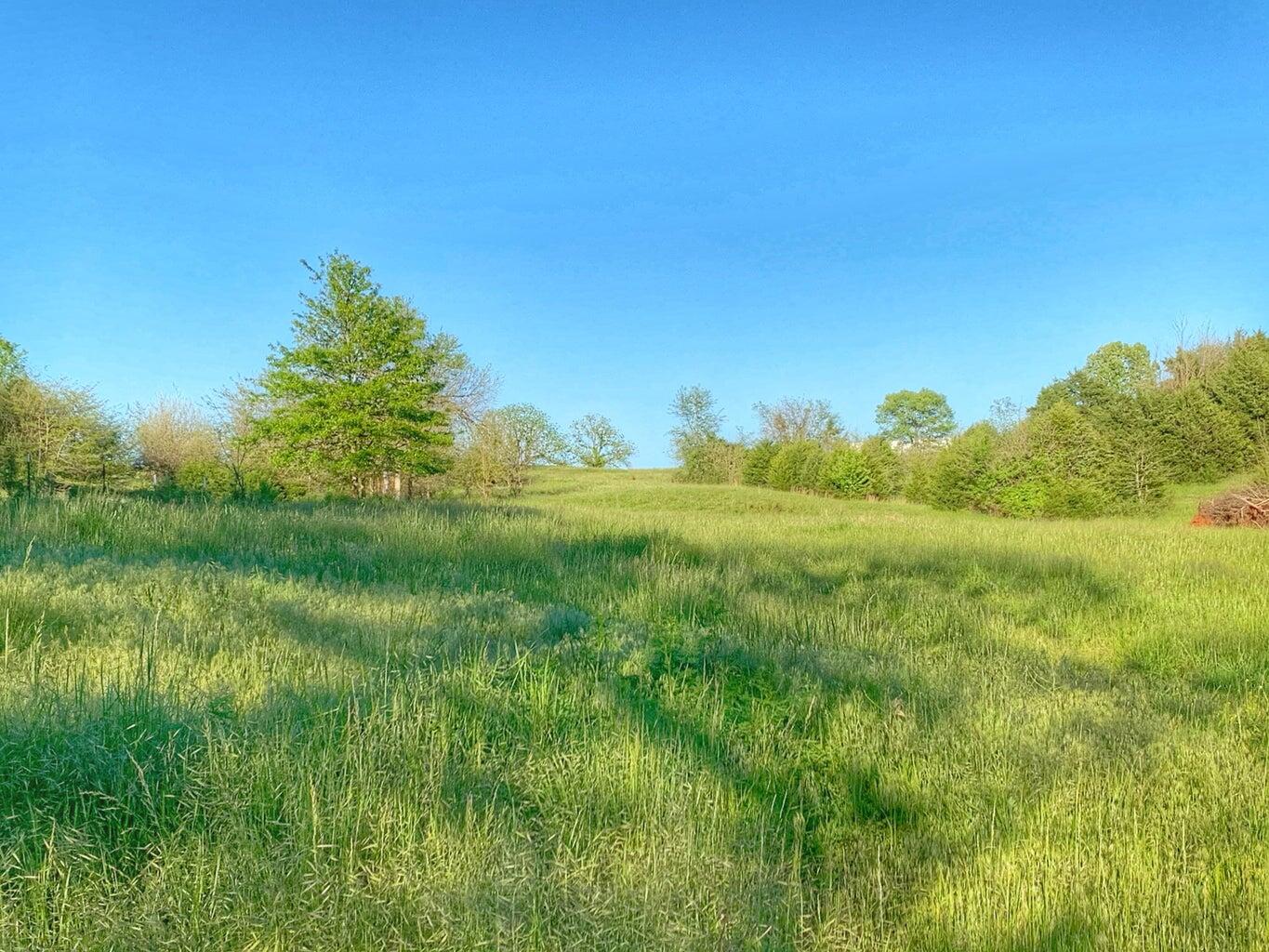 Photo 5 - Land for sale – 5875 N Currie Lane  Springfield, MO