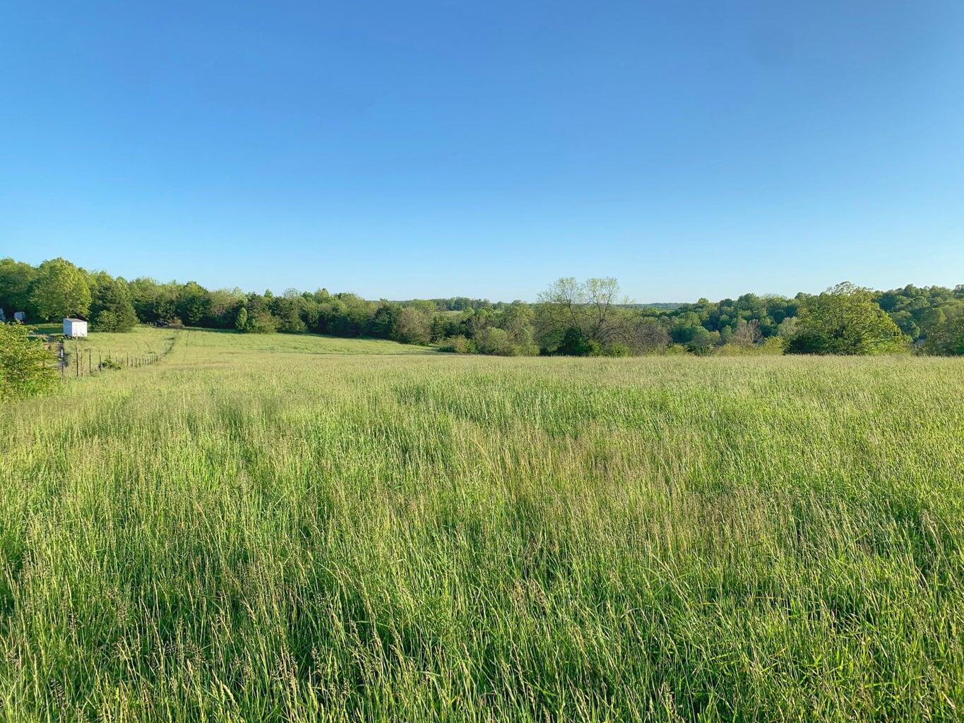 Photo 4 - Land for sale – 5875 N Currie Lane  Springfield, MO