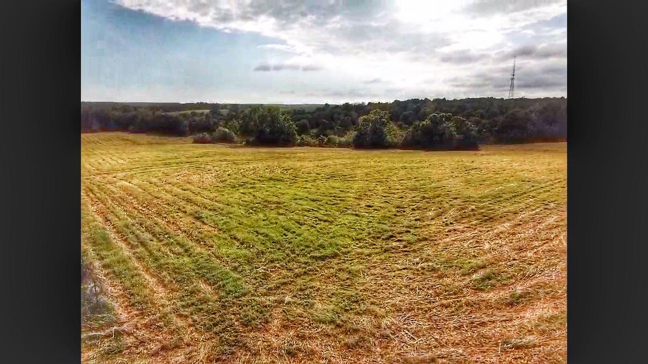 Photo 13 - Land for sale – 5875 N Currie Lane  Springfield, MO