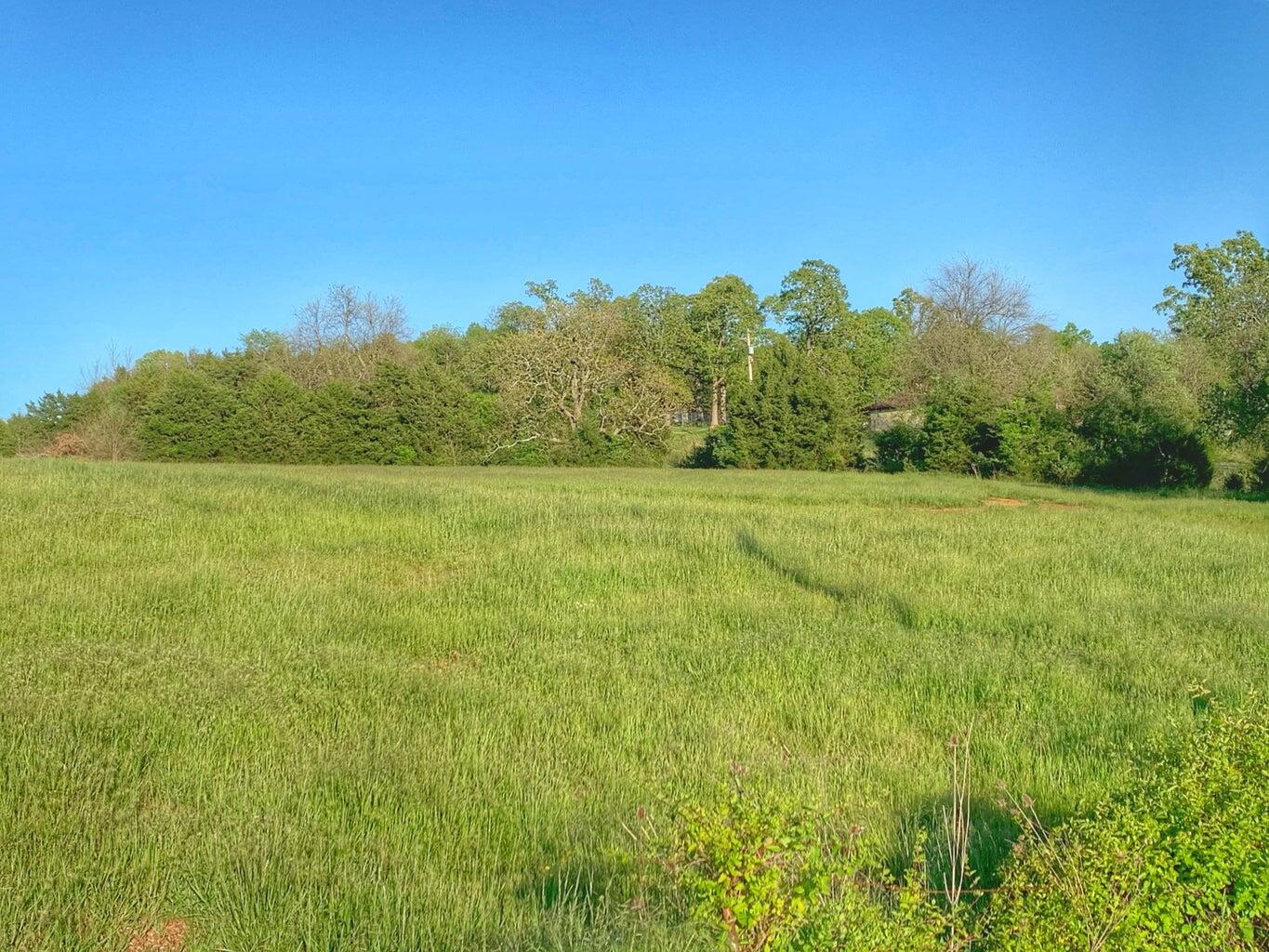 Photo 10 - Land for sale – 5875 N Currie Lane  Springfield, MO