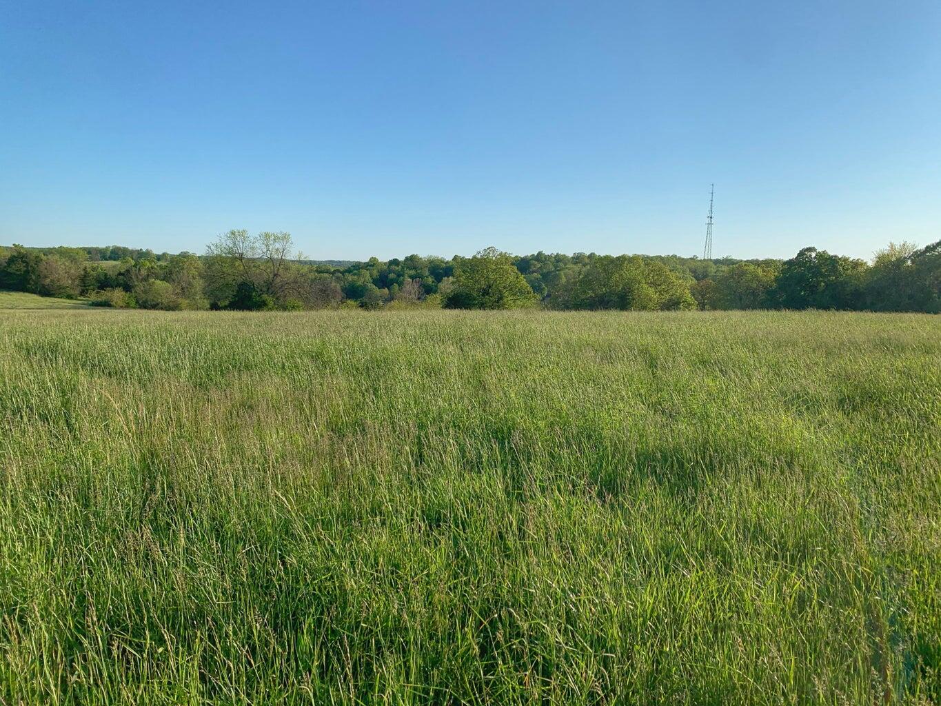 Photo 3 - Land for sale – 5875 N Currie Lane  Springfield, MO
