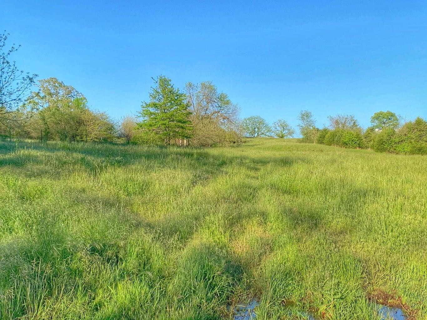 Land for sale – 5875 N Currie Lane  Springfield, MO