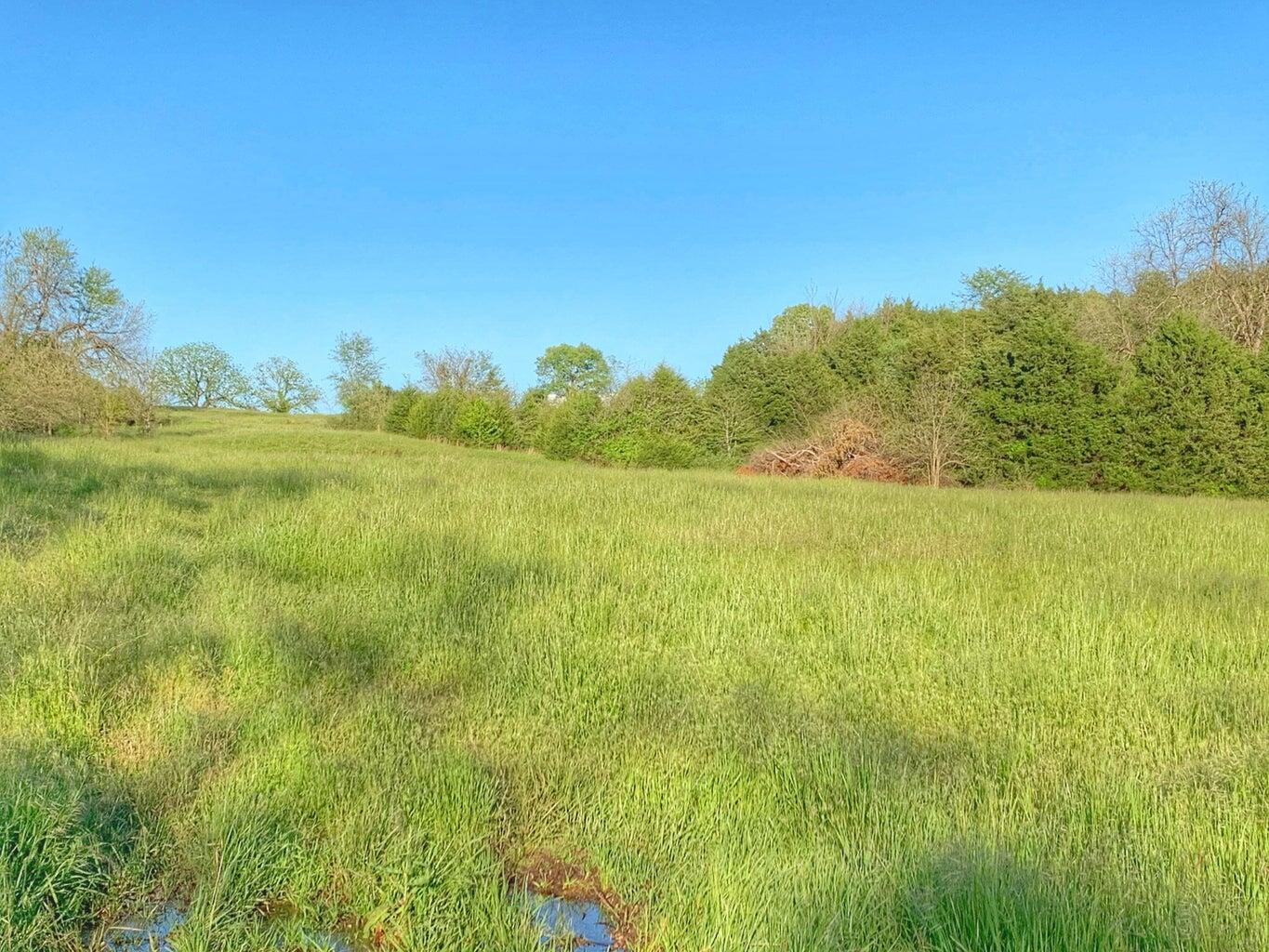 Photo 2 - Land for sale – 5875 N Currie Lane  Springfield, MO