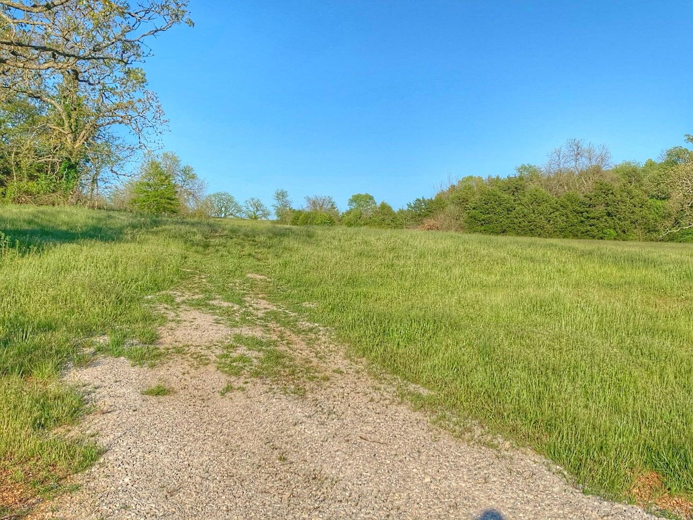 Photo 11 - Land for sale – 5875 N Currie Lane  Springfield, MO