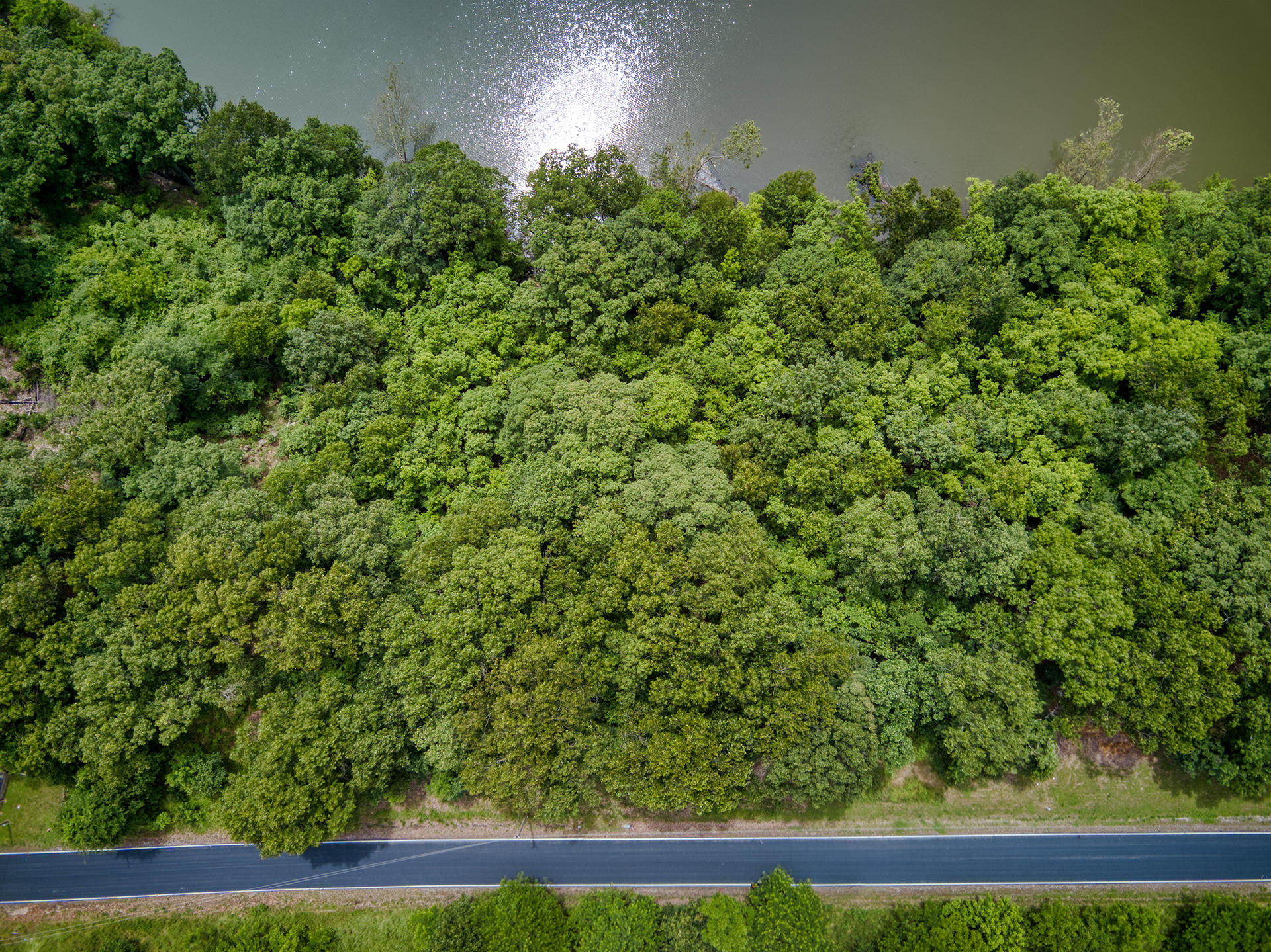 Photo 9 - Land for sale – 000  Fox Hollow Dr/Lot 86   Shell Knob, MO