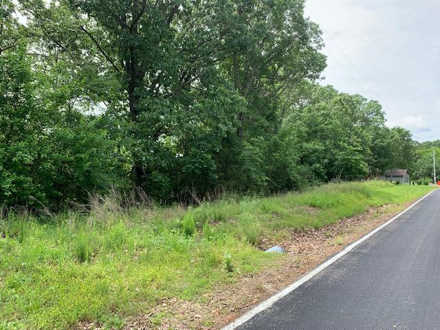 Photo 12 - Land for sale – 000  Fox Hollow Dr/Lot 86   Shell Knob, MO