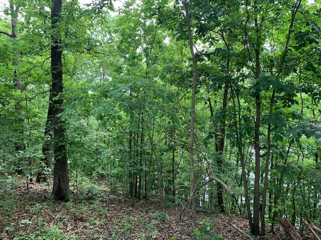 Photo 13 - Land for sale – 000  Fox Hollow Dr/Lot 86   Shell Knob, MO