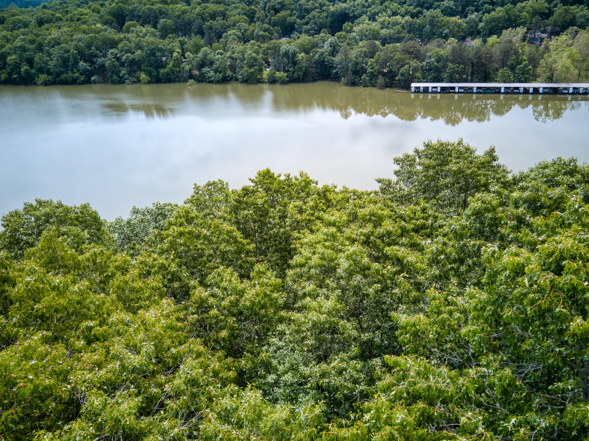 Photo 7 - Land for sale – 000  Fox Hollow Dr/Lot 86   Shell Knob, MO