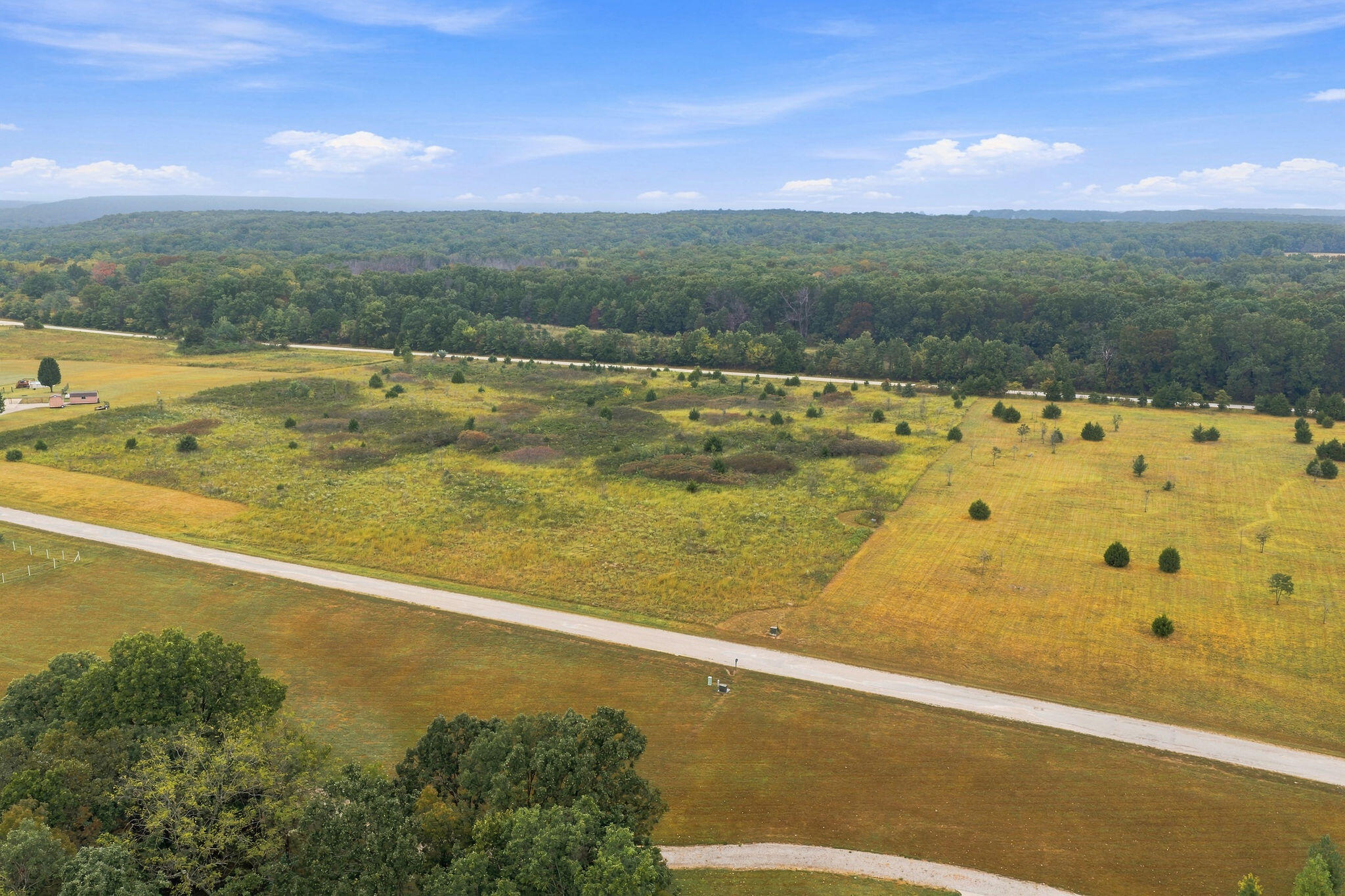 Photo 5 - Land for sale – 000  Clydesdale Drive  Rogersville, MO
