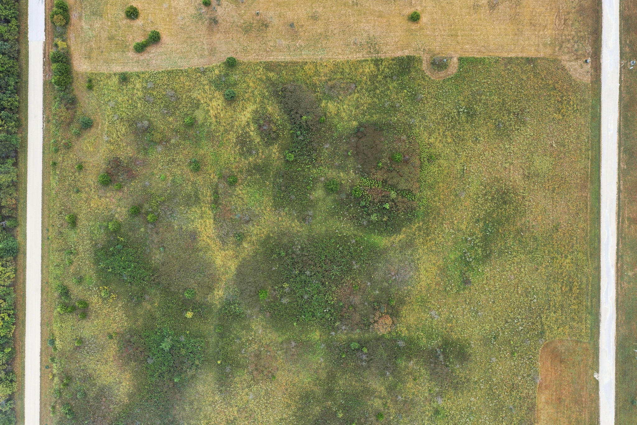 Photo 9 - Land for sale – 000  Clydesdale Drive  Rogersville, MO