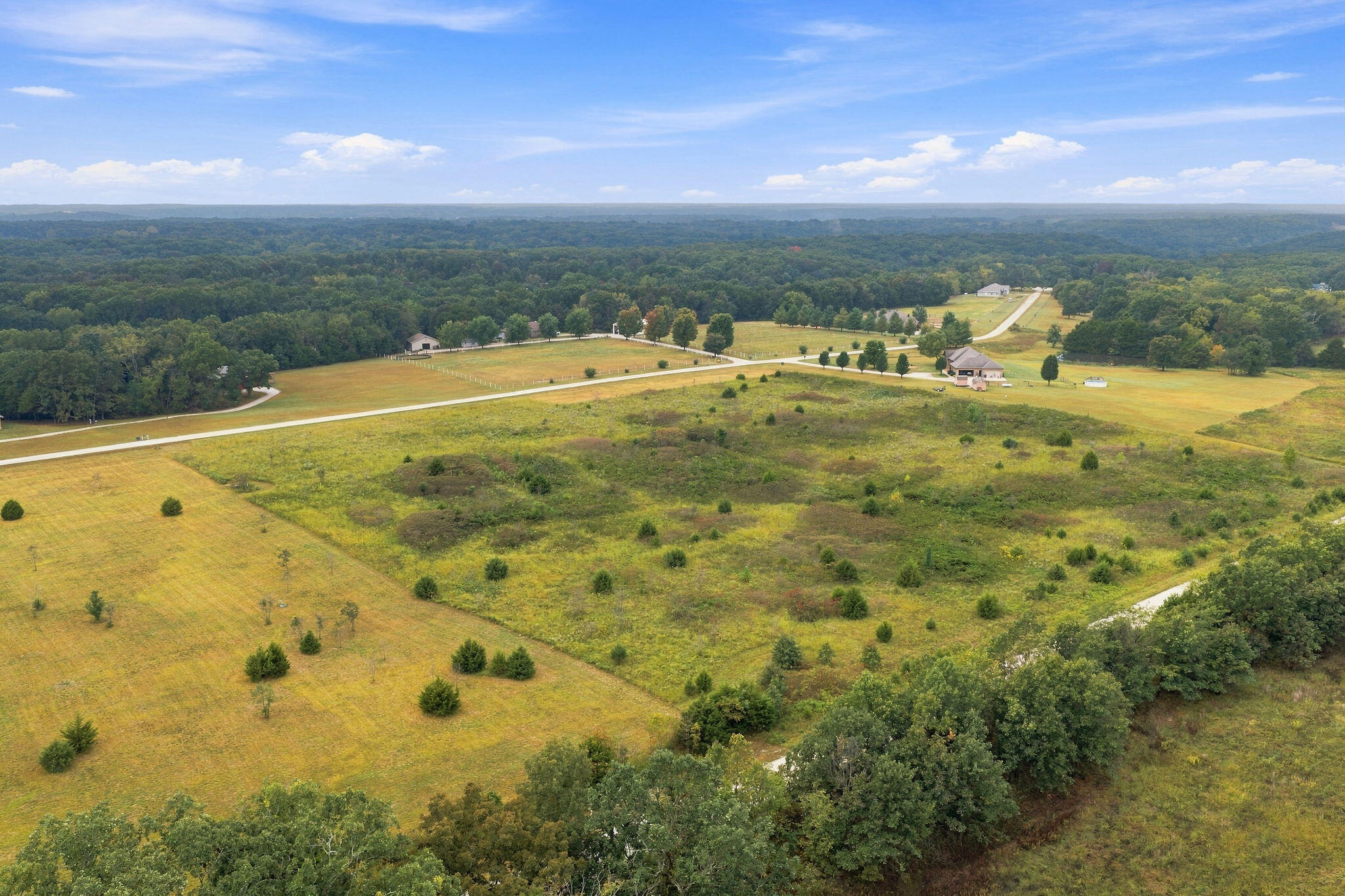 Photo 7 - Land for sale – 000  Clydesdale Drive  Rogersville, MO