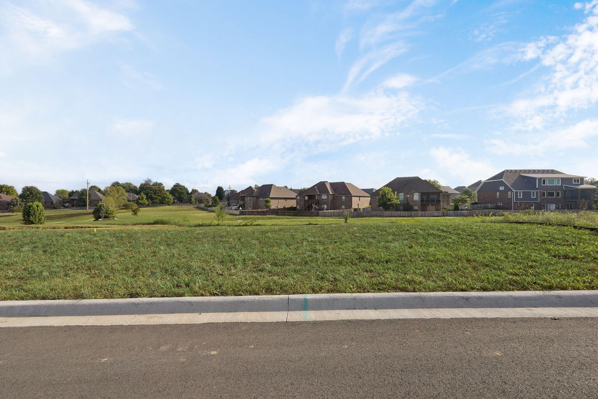 Photo 4 - Land for sale – 1353 N Dunmore Circle  Nixa, MO