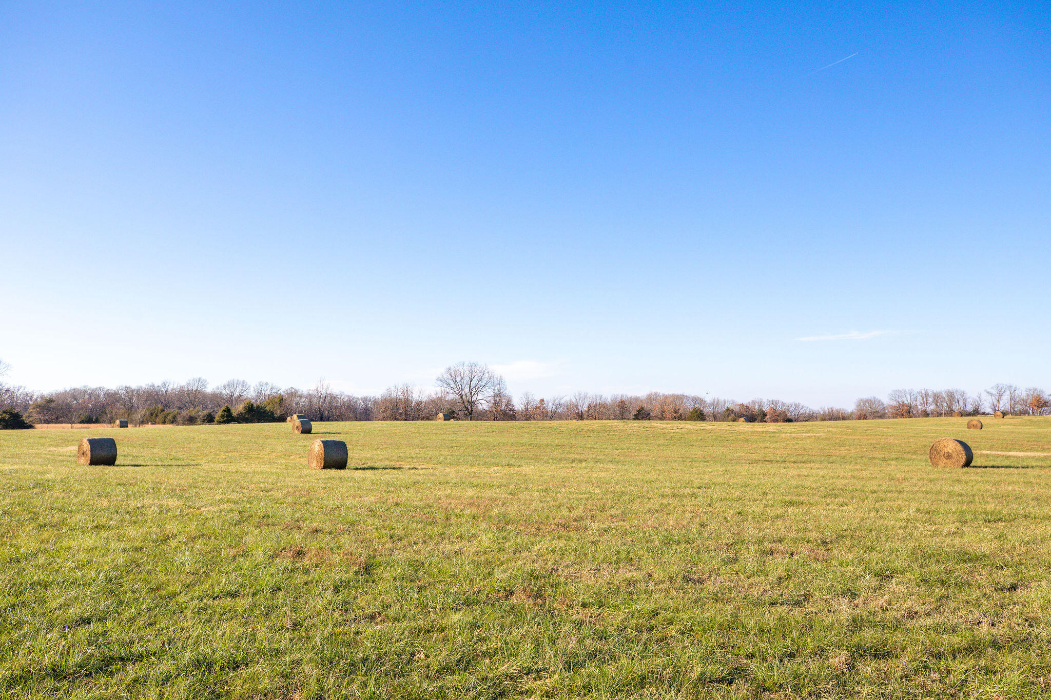 Photo 31 - Farm for sale – Tbd  Honeysuckle & County Road 433   Oak Grove, AR