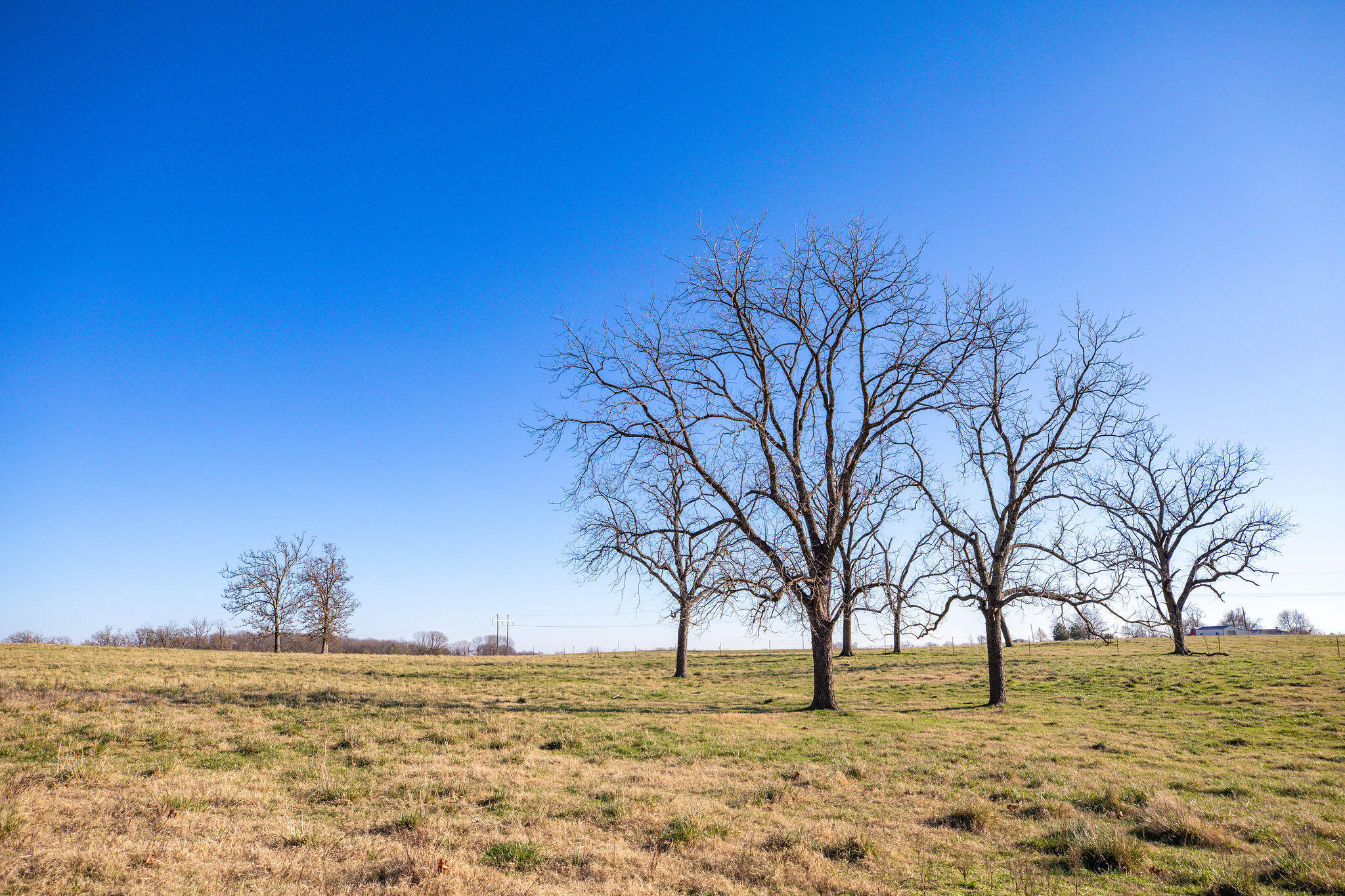 Photo 16 - Farm for sale – Tbd  Honeysuckle & County Road 433   Oak Grove, AR