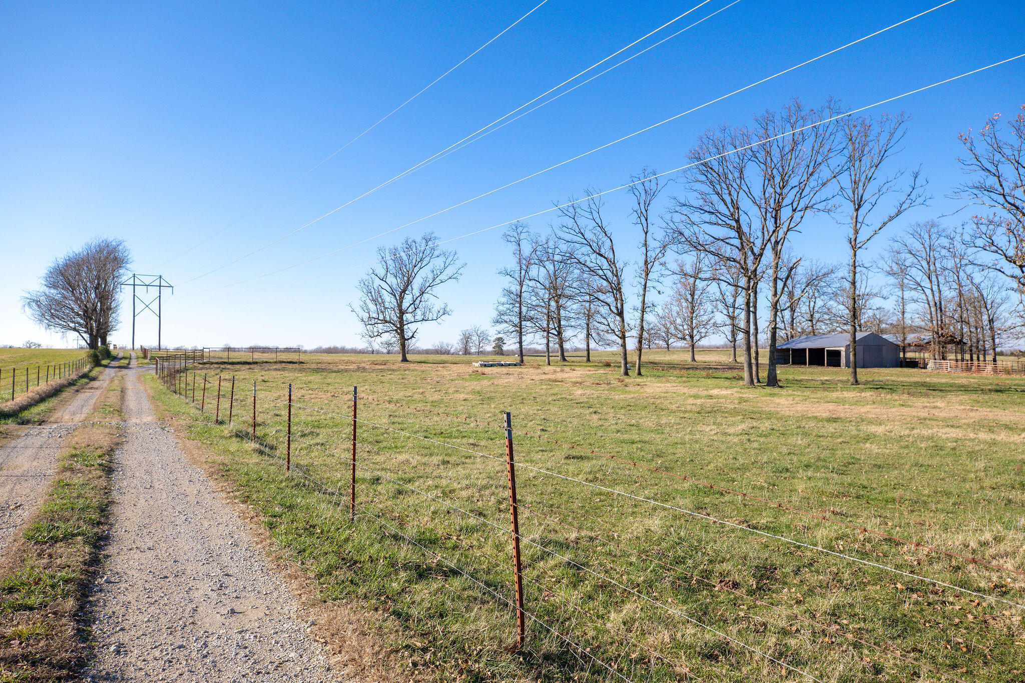 Photo 5 - Farm for sale – Tbd  Honeysuckle & County Road 433   Oak Grove, AR