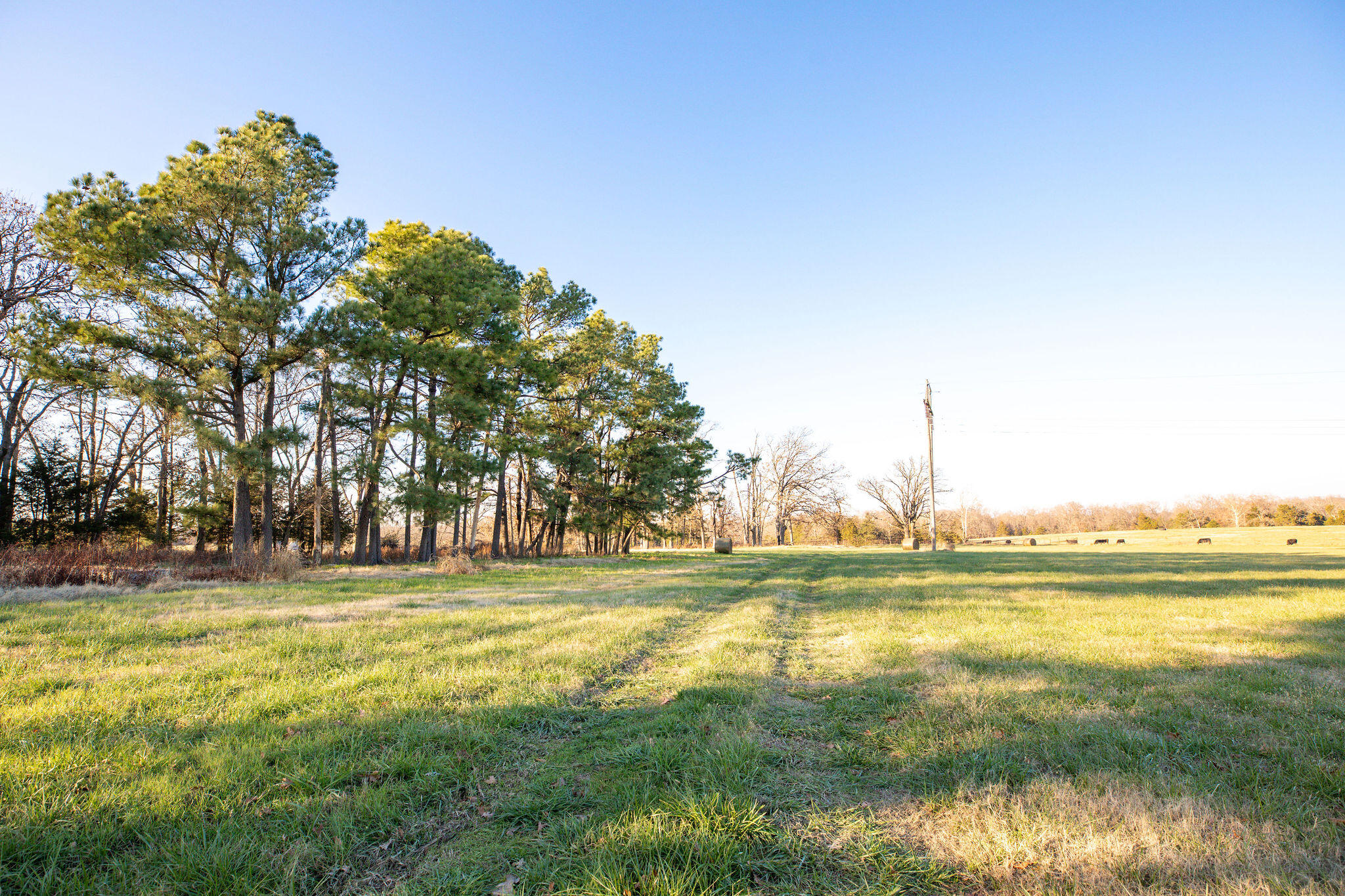 Photo 32 - Farm for sale – Tbd  Honeysuckle & County Road 433   Oak Grove, AR